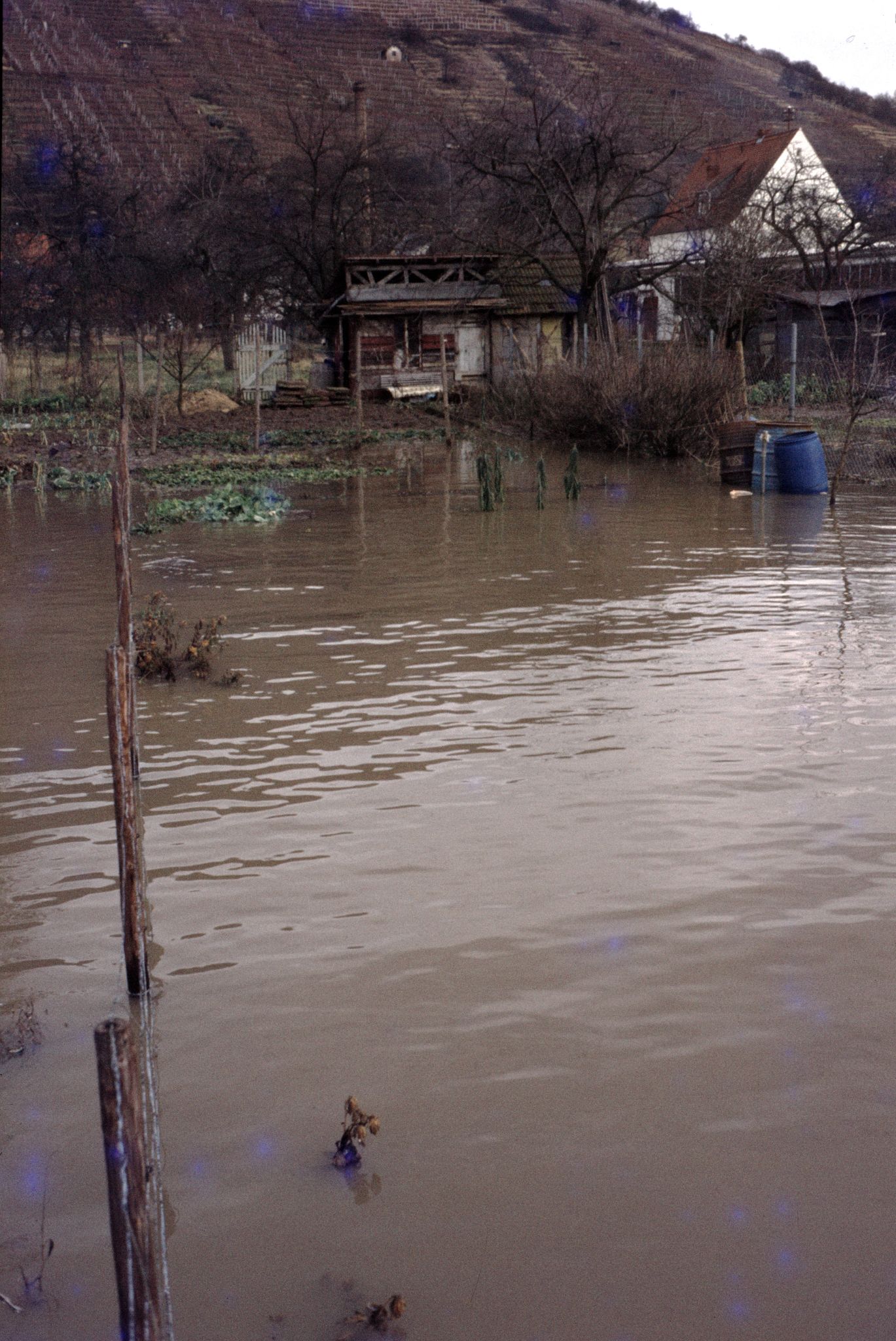 Hochwasser 1970 in den "Oberen Krautgärten"