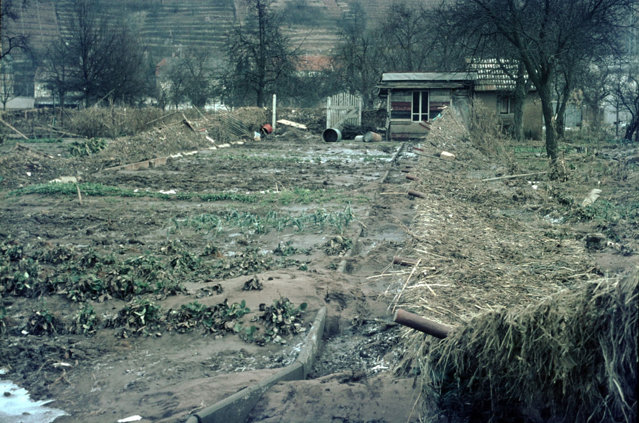 Nach dem Hochwasser 1970