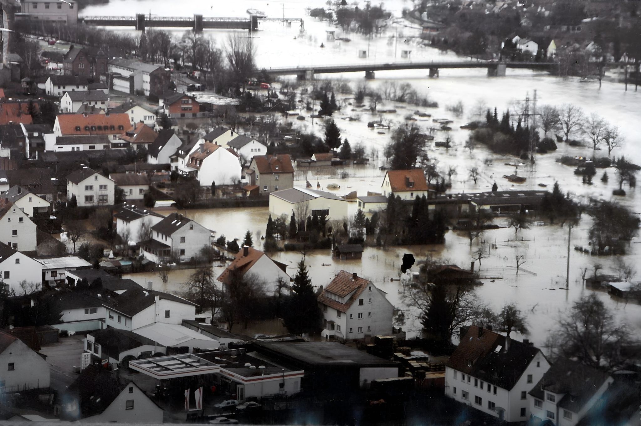 Blick vom Weinberg auf den Main