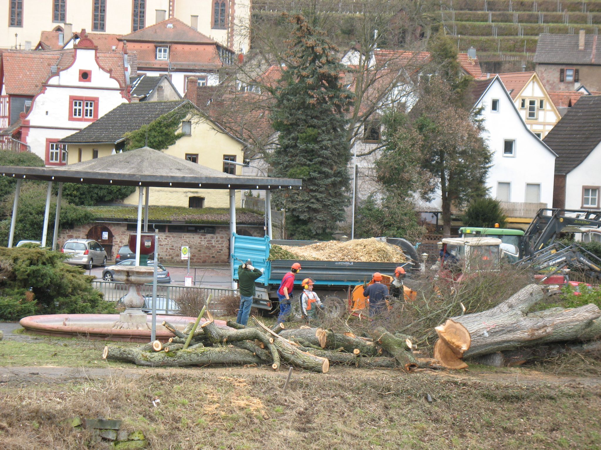Baumfällarbeiten am 23.02.2010