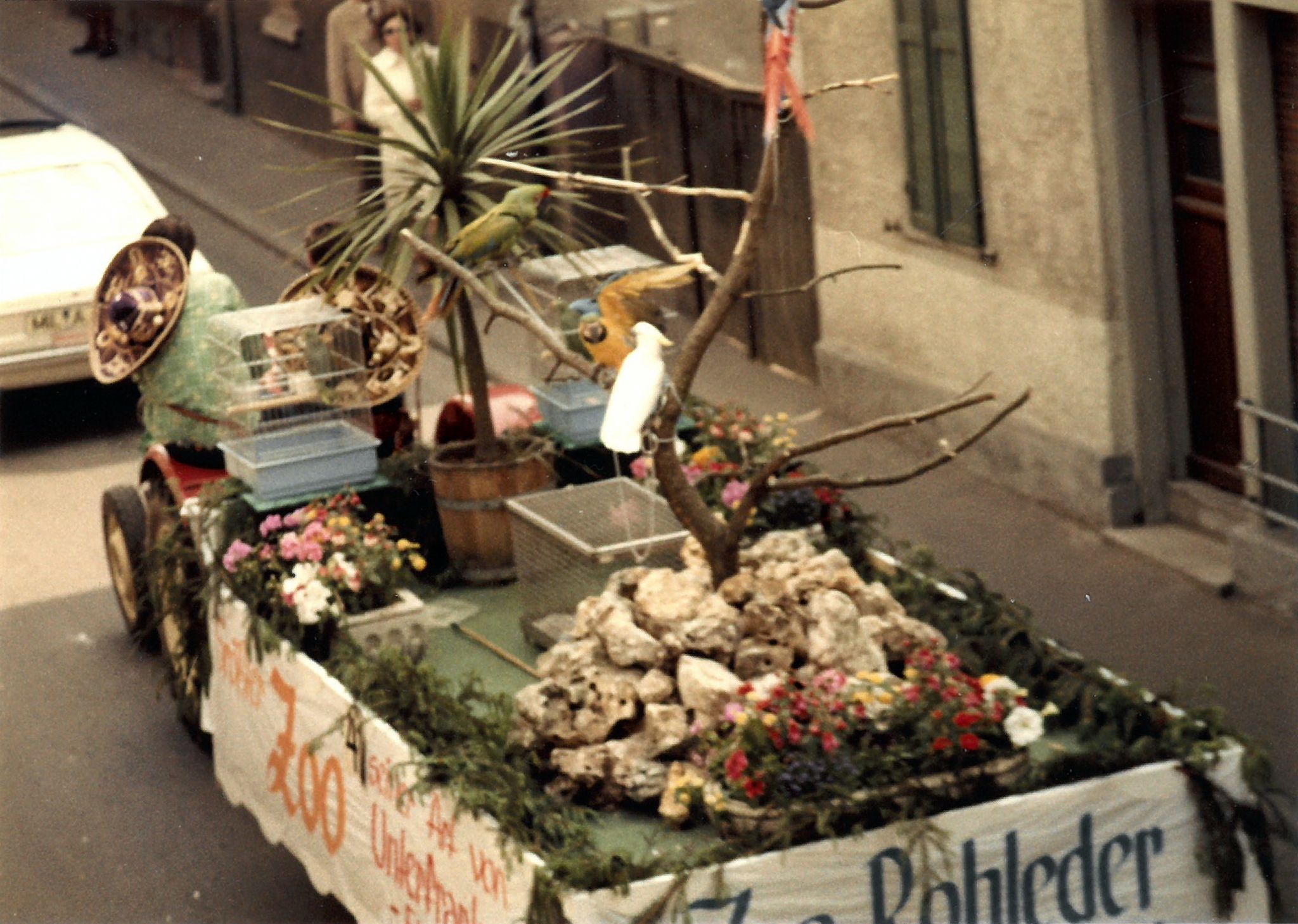 "Trennfurt bietet mancherlei: Papageien"