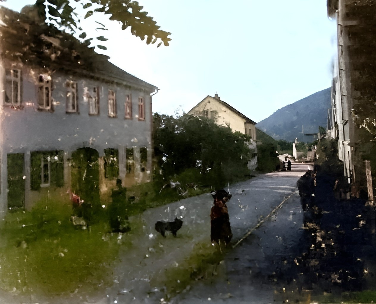 Das Gasthaus Grüner Baum 1894