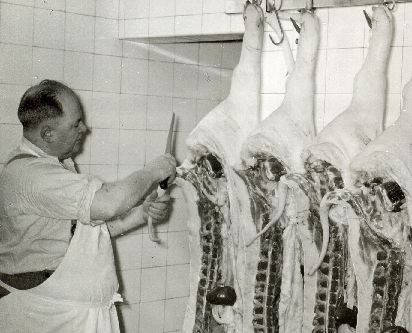 Franz Kuhn als Metzgermeister in seinem Laden
