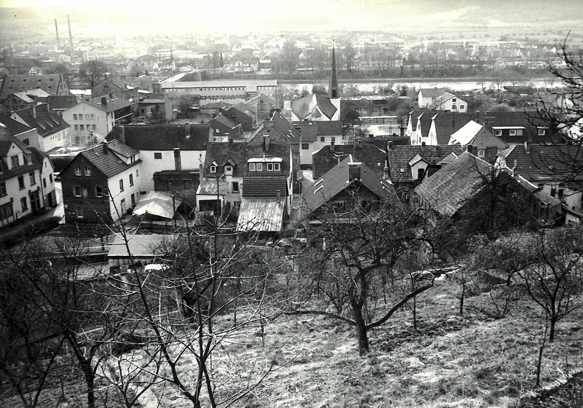 Blick vom Hohbergweg auf die Ludwigstraße