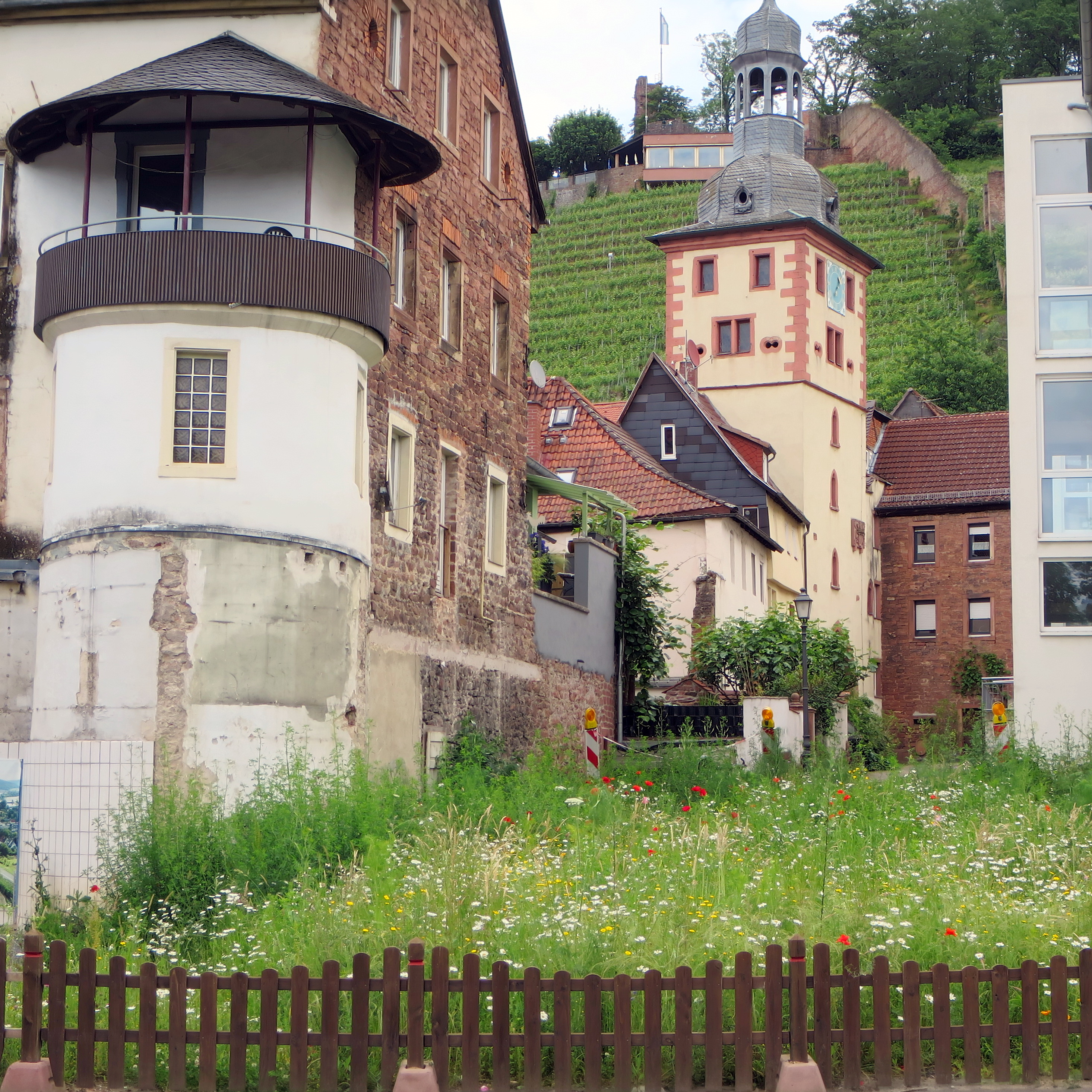 Blühstreifen am ehem. goldenen Kreuz