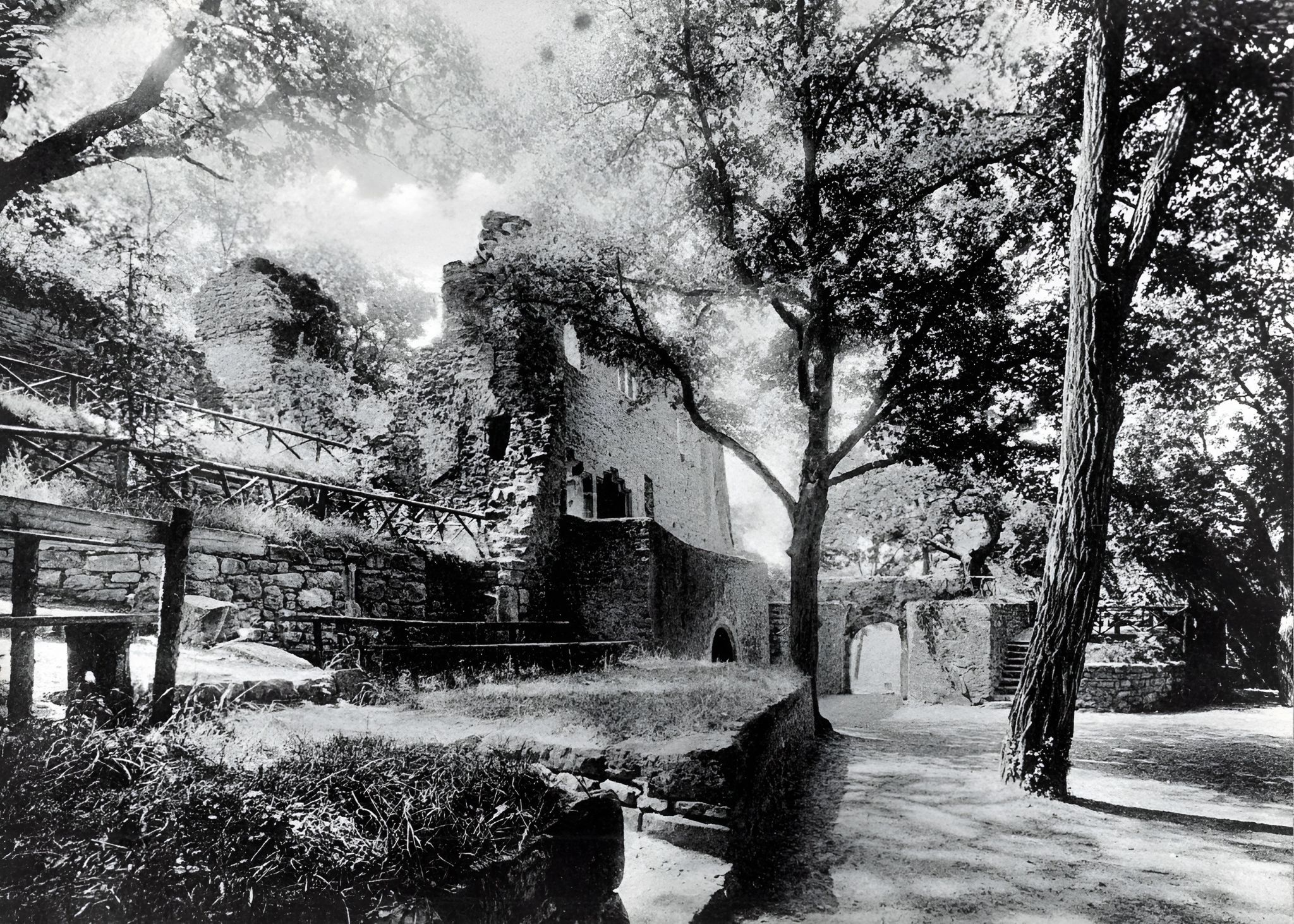 Die Burgruine um 1926