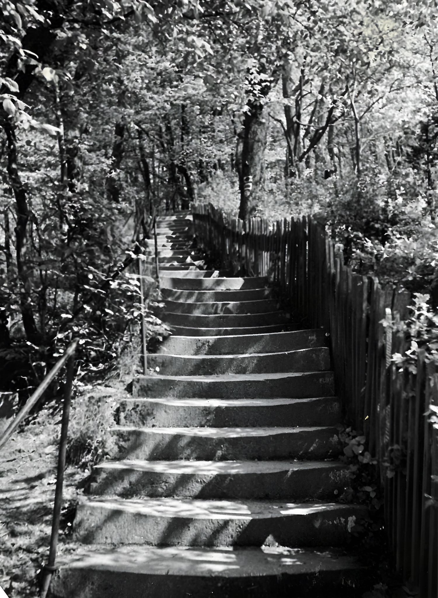 Die Burgtreppe um 1939