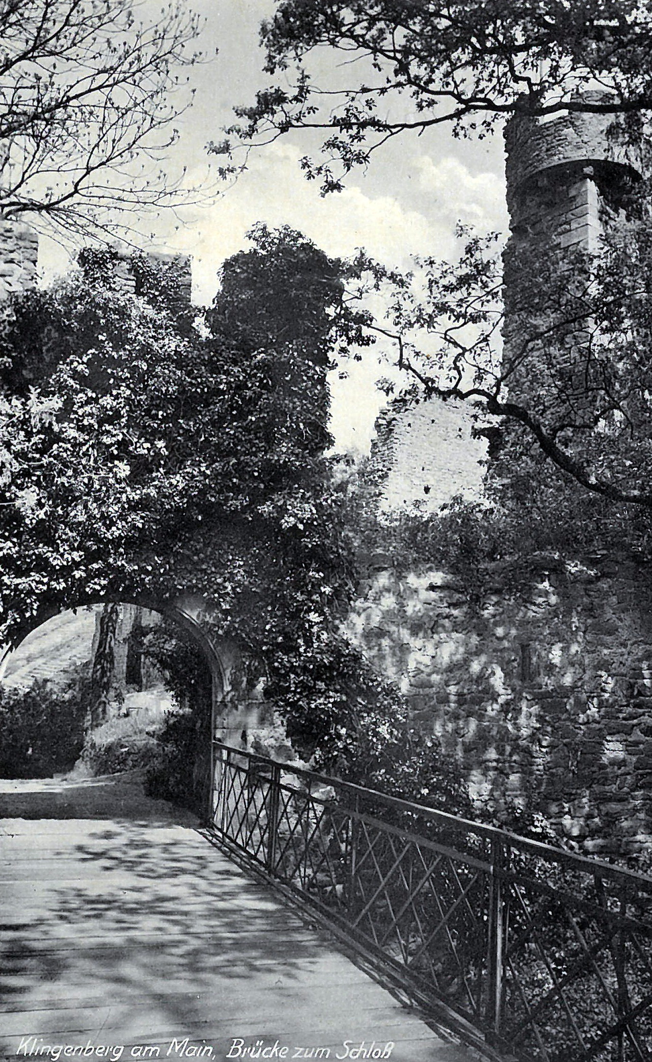Ansichtskarte der Burgruine um 1950