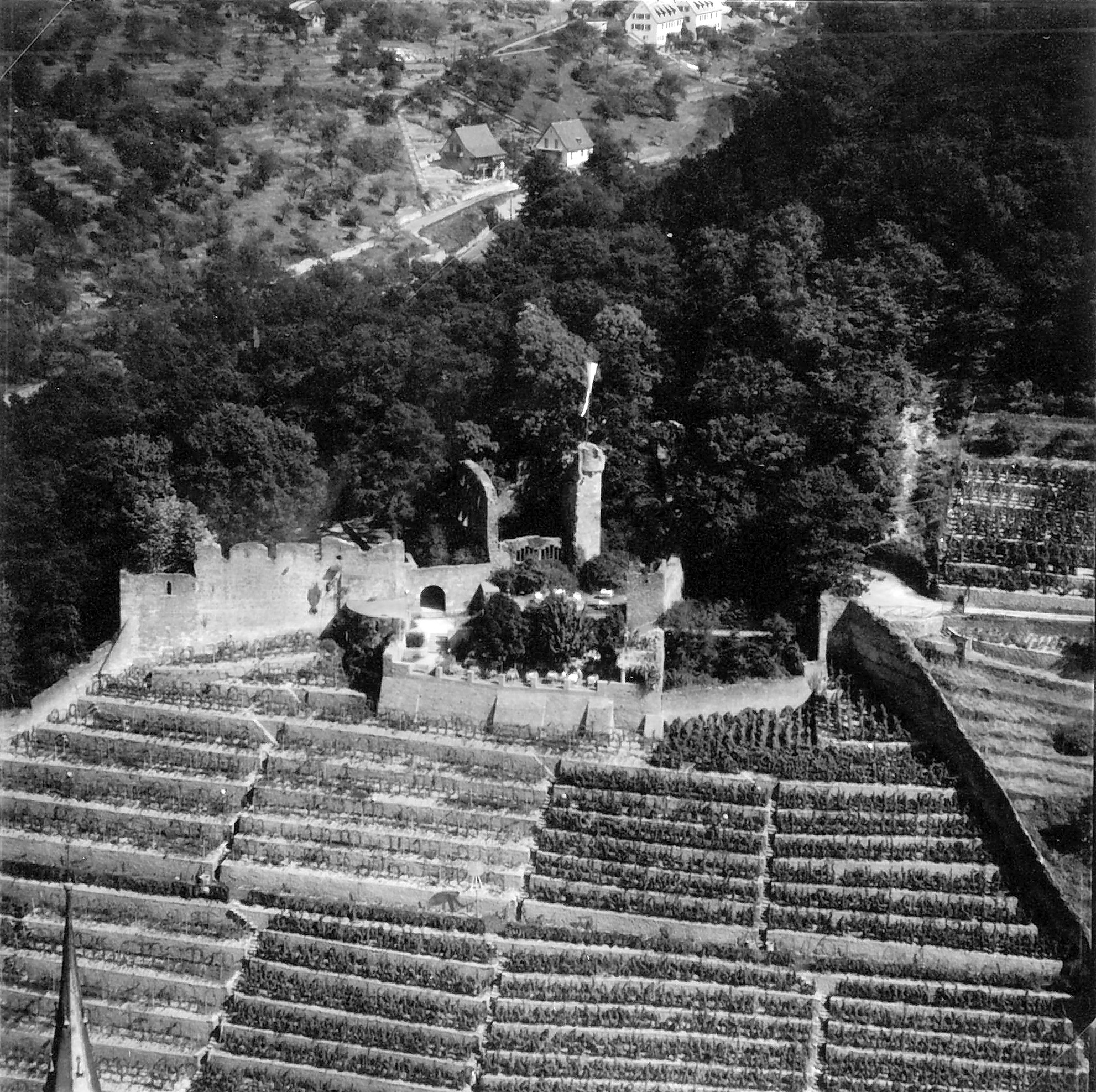 Luftaufnahme der Clingenburg um 1951