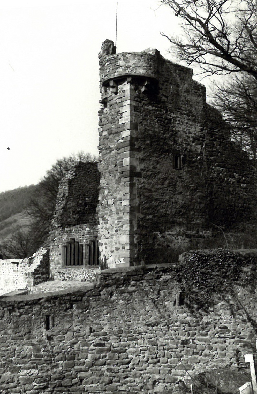 Blick auf den westlichen Eckturm