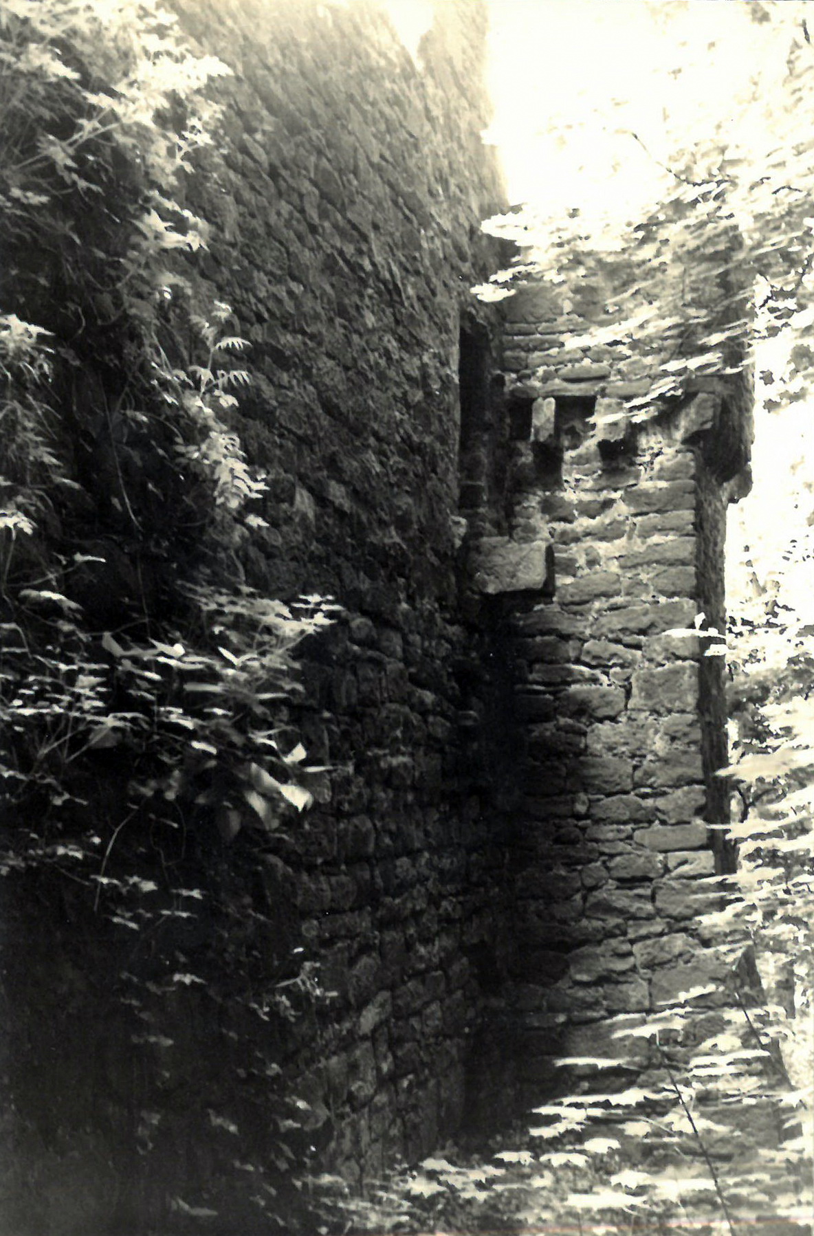 Außenansicht der Burgmauer von Nordosten