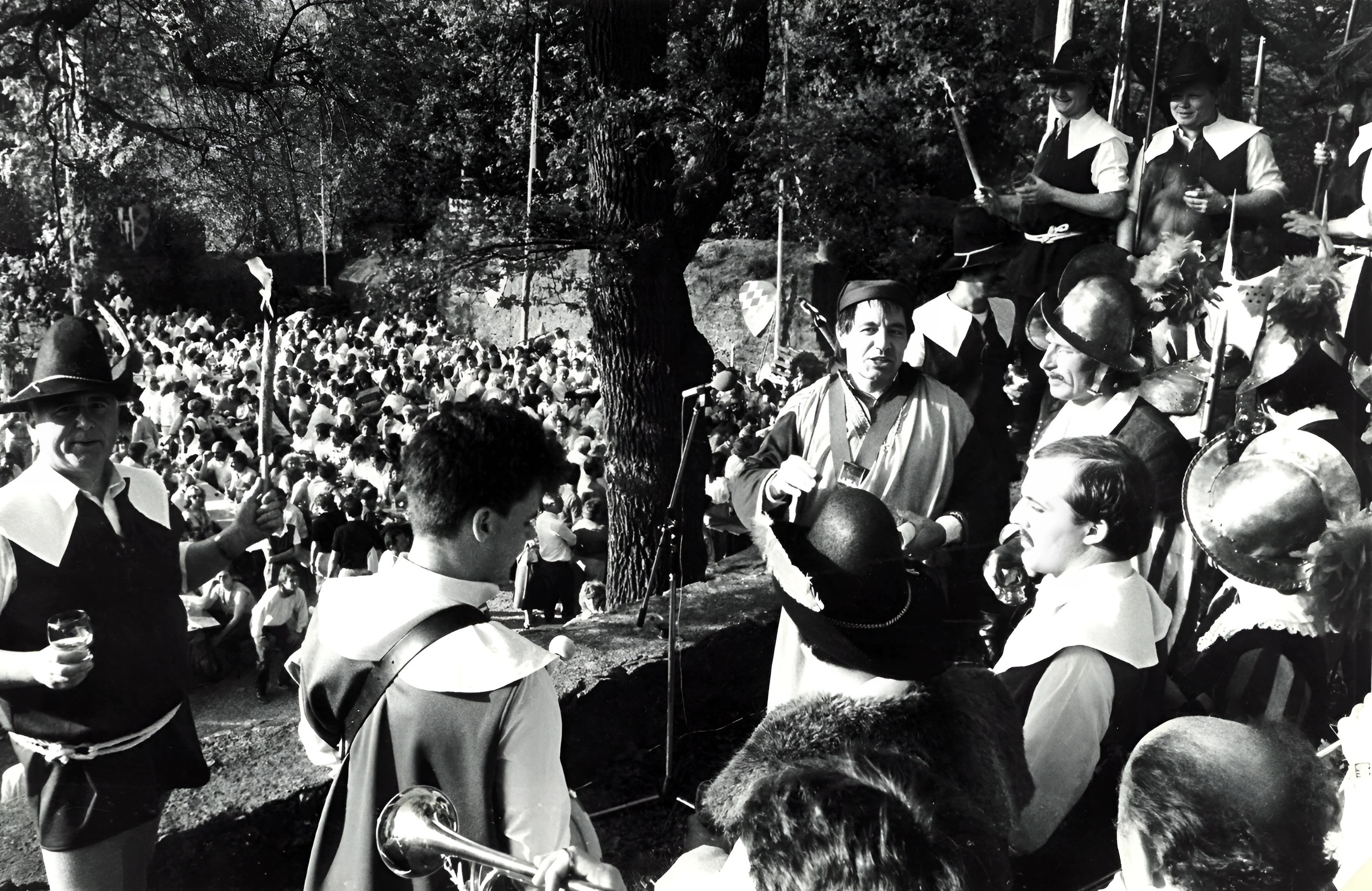 Klingenberger Weintage auf der Clingenburg 1996
