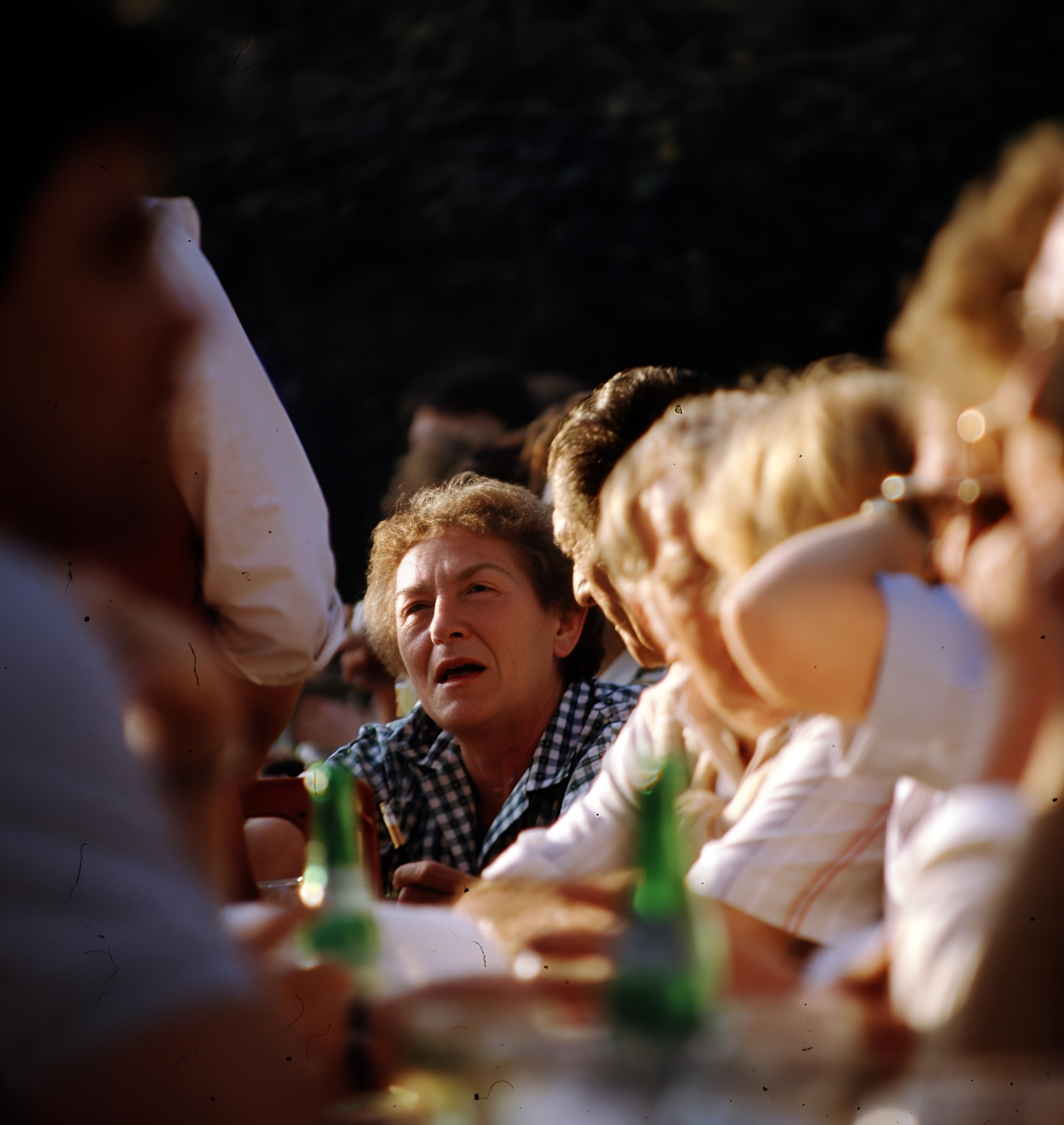 Klingenberger Weintage auf der Clingenburg 1996