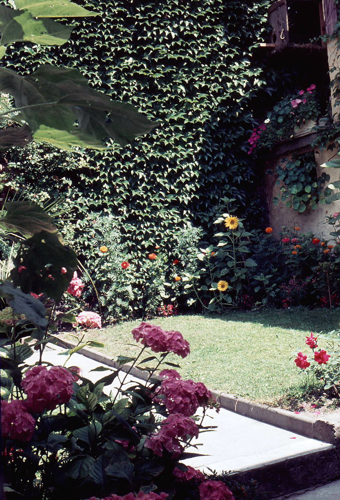 Hinterhofidylle im 2. OG des Hauses