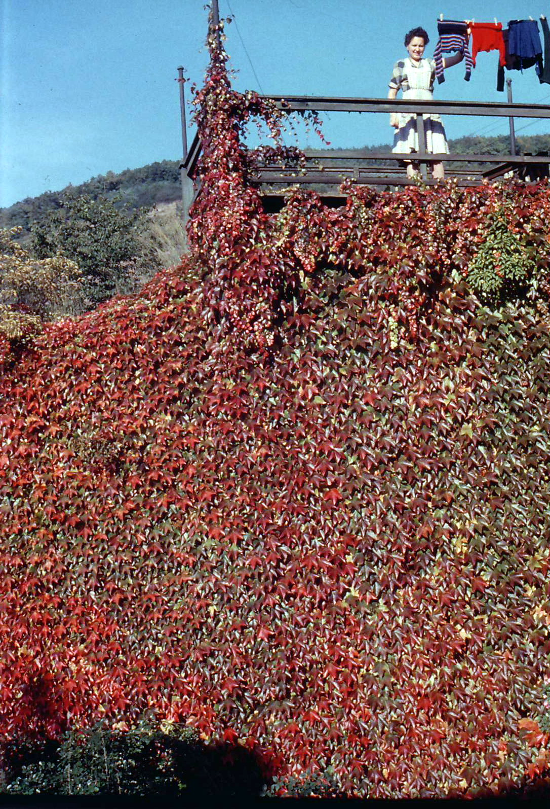 Ehem. Wehrturm auf der Stadtmauer