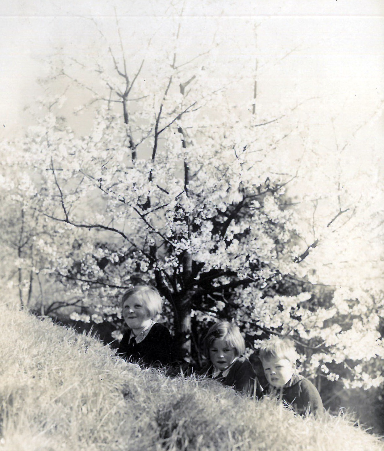 Elisabeth, Margarete und Otto