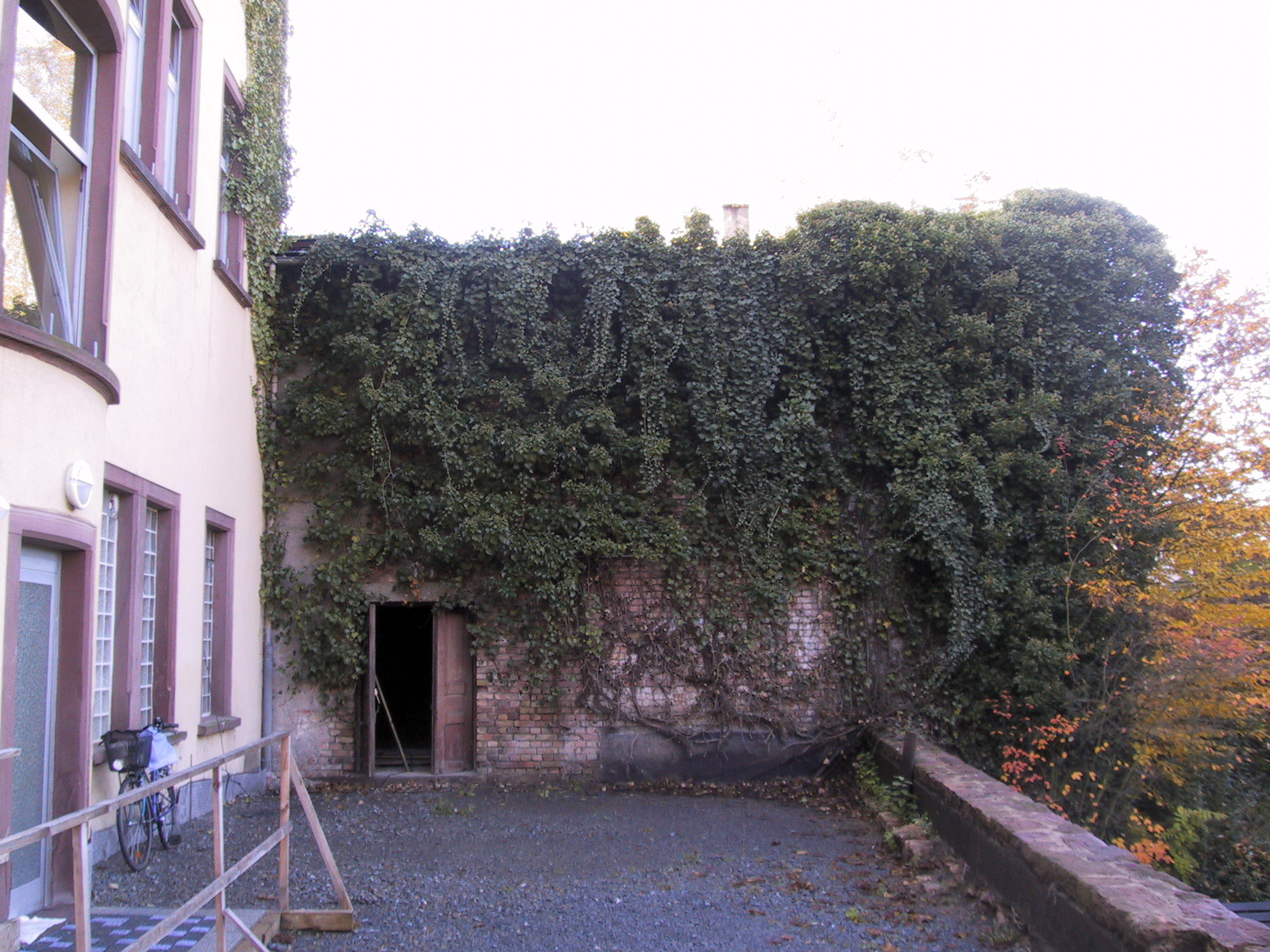 Der Kinosaal im "Dornröschenschlaf" mir Hinterausgang