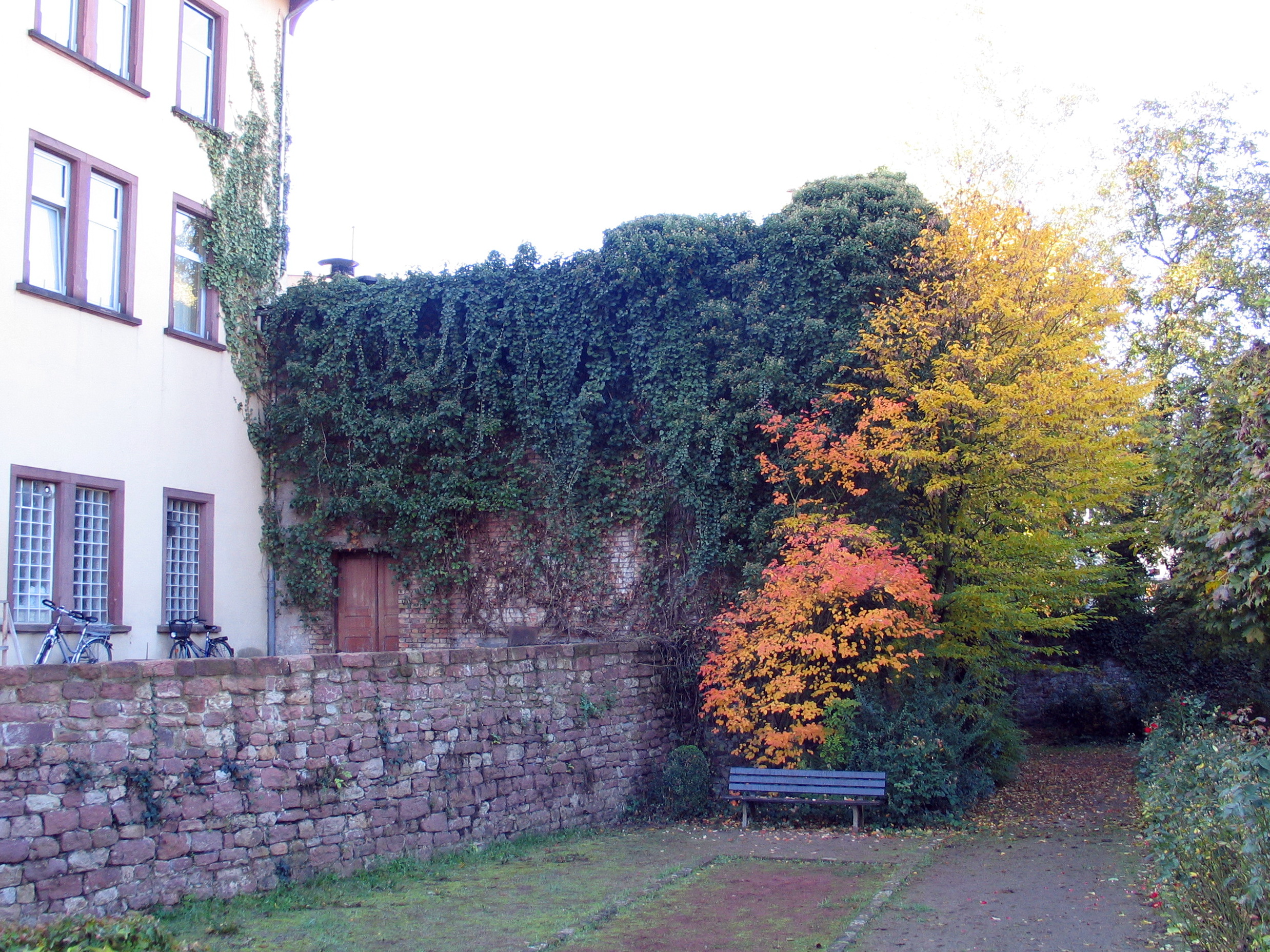Blick vom Rosengarten auf den hinteren Teil des Kinosaals