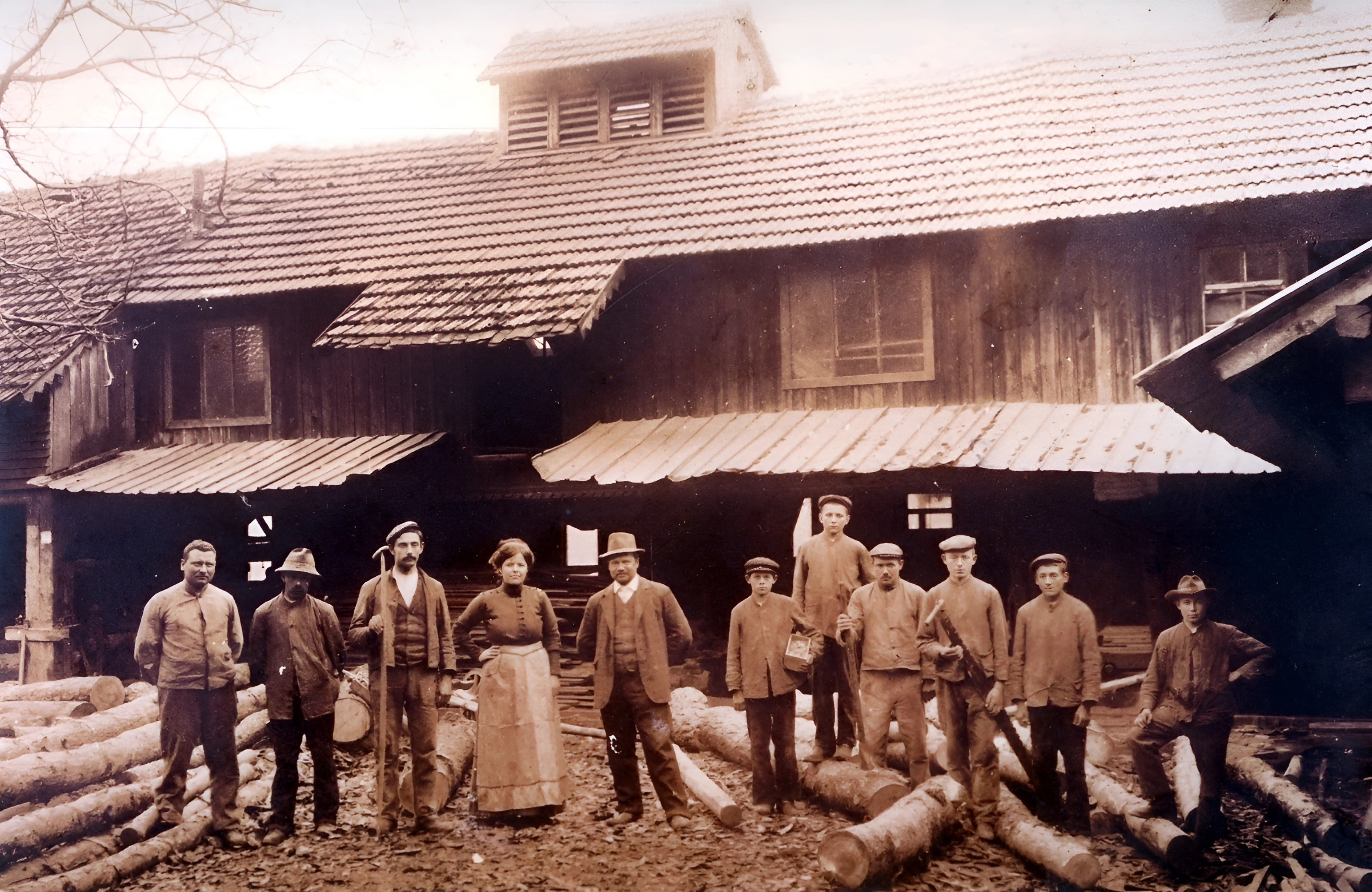 Das Sägewerk Hugo Michel