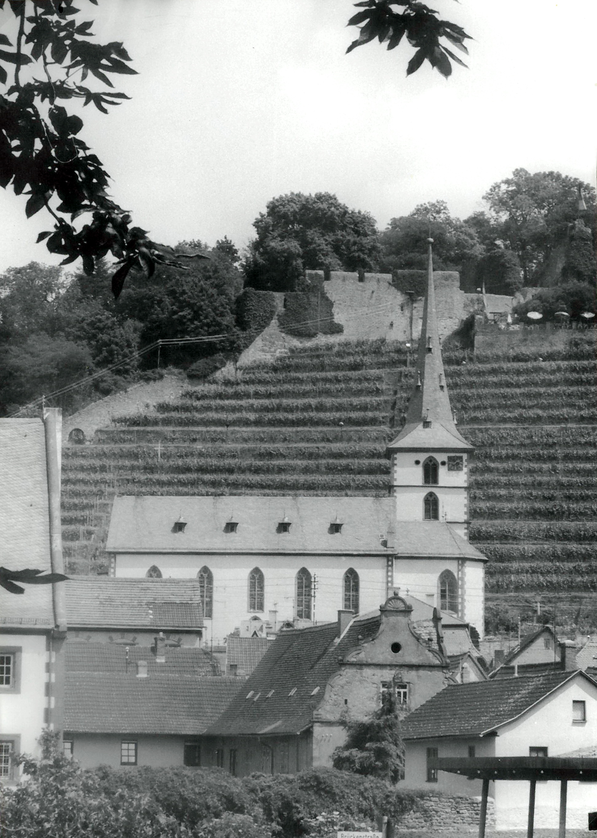 Blick vom Maindamm zur Kirche und Clingenburg