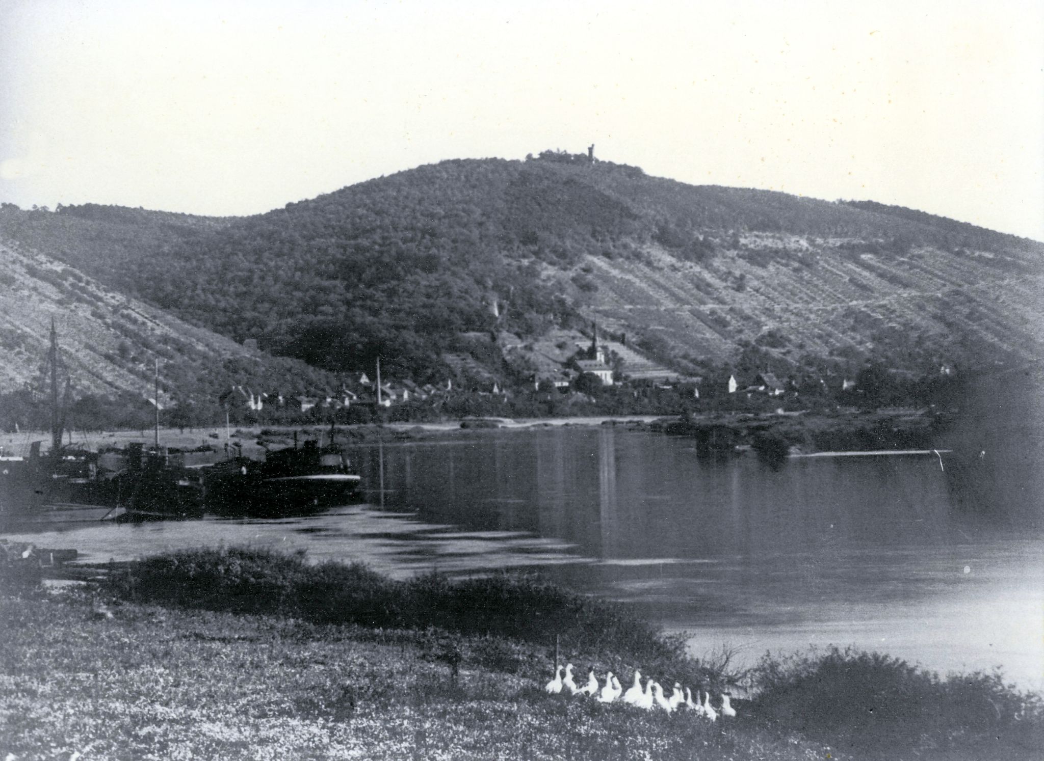 Blick vom Mainufer auf die Stadt um 1920