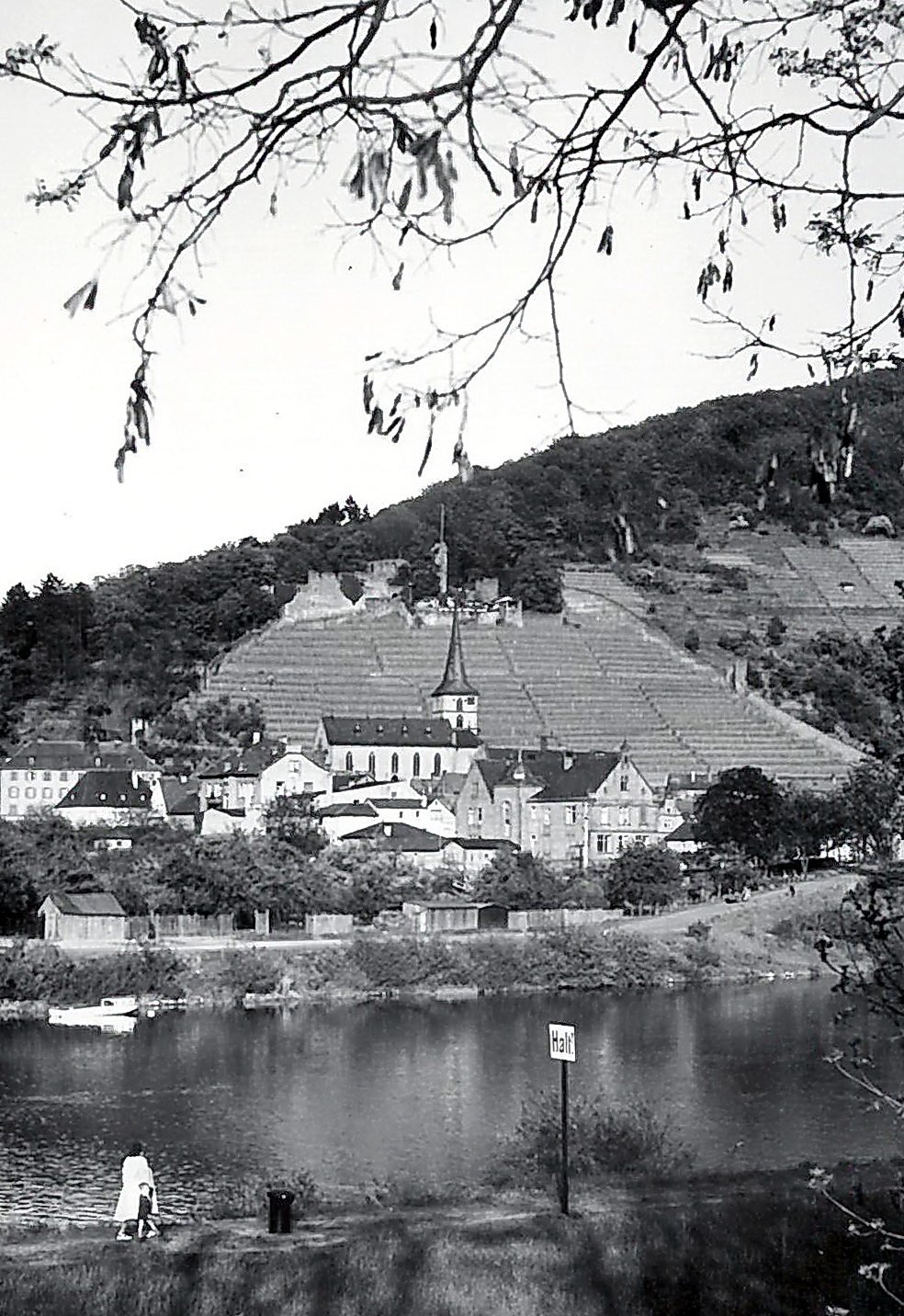 Panoramablick von Trennfurt nach Klingenberg