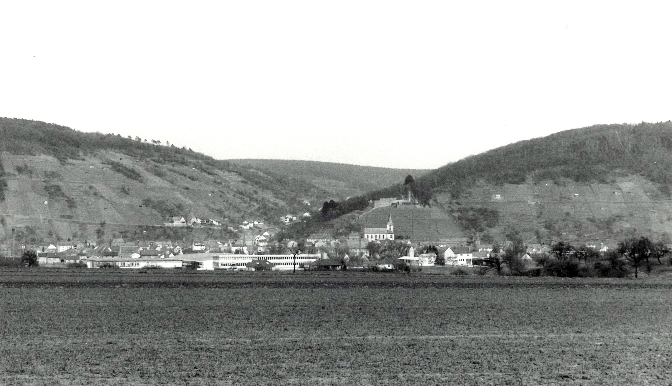 Panoramablick von Wörth nach Klingenberg