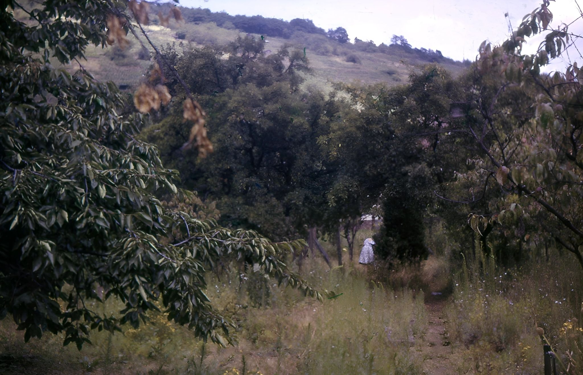 Das Grundstück auf dem die neuen Kirche entstehen sollte.