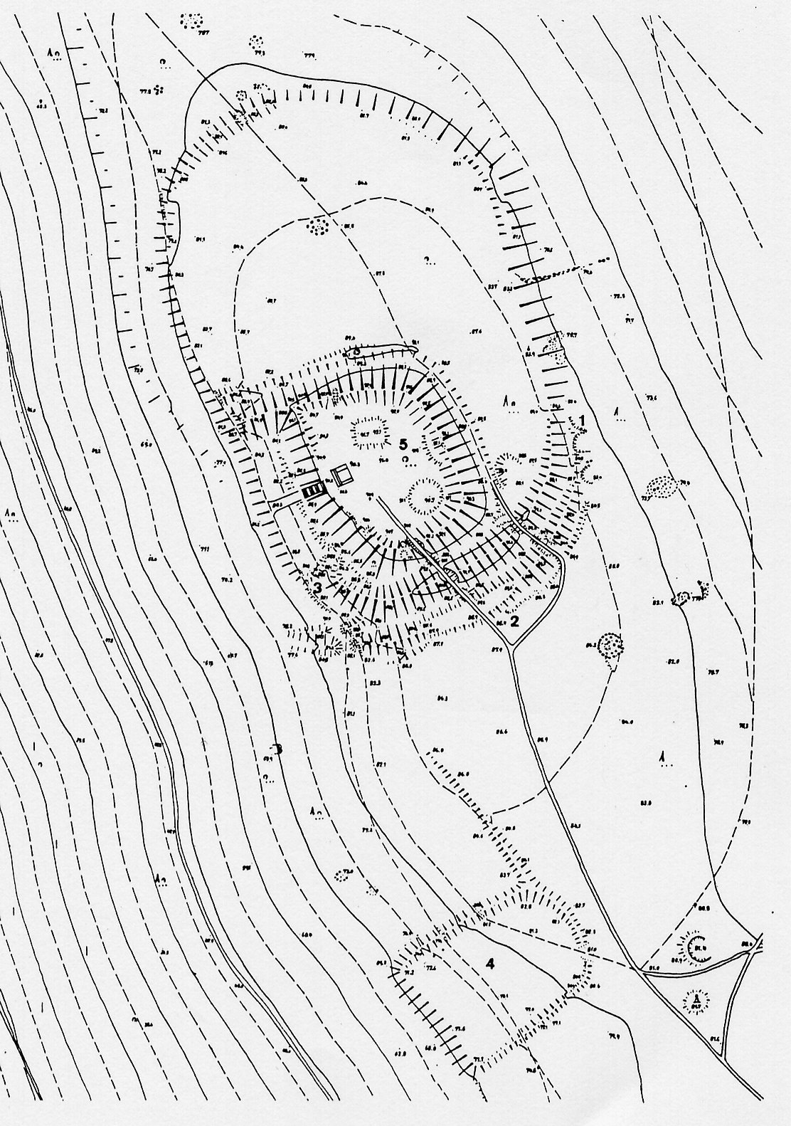 Topografisches Schema des Ringwalls