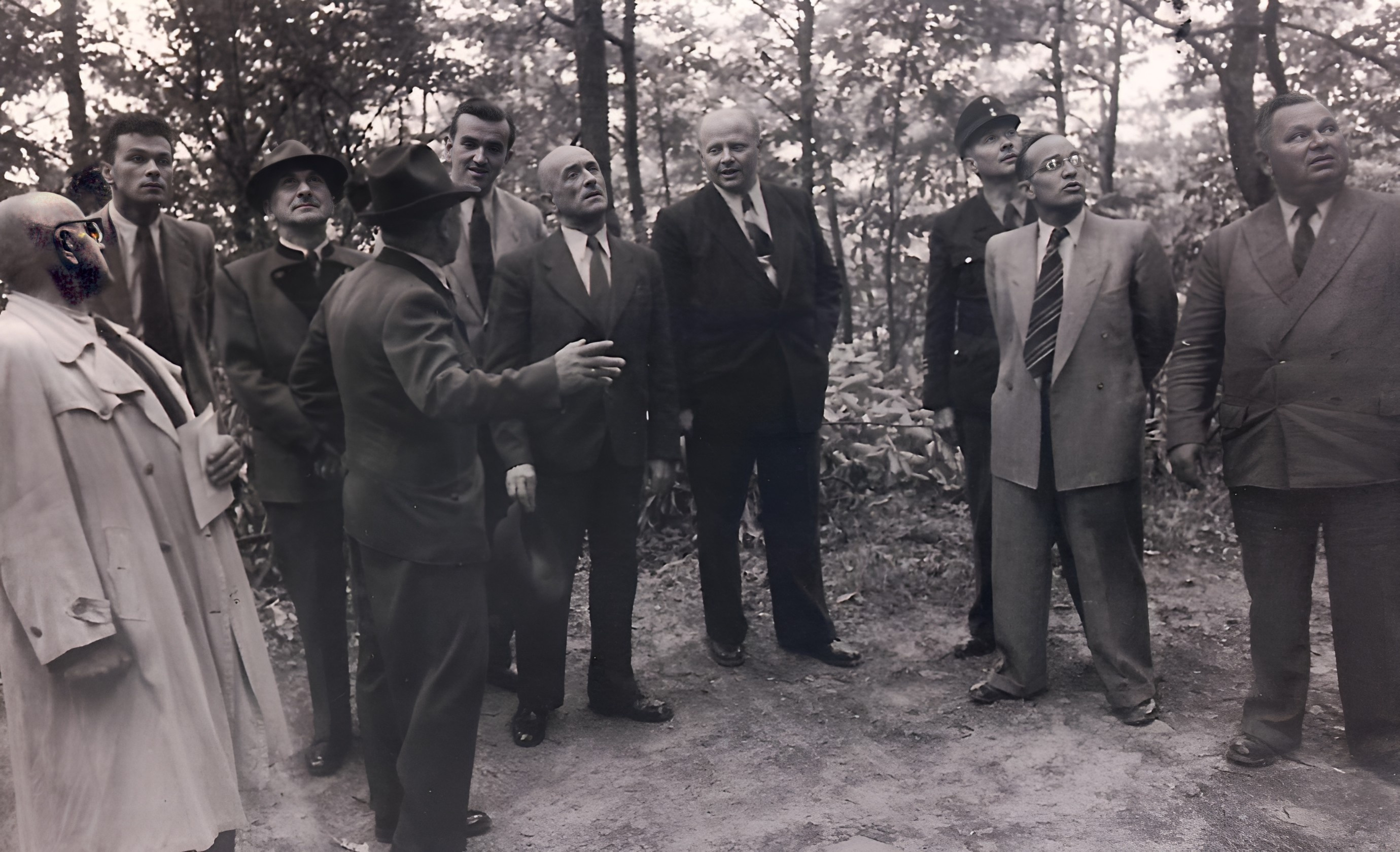 Inspektion des Aussichtsturms