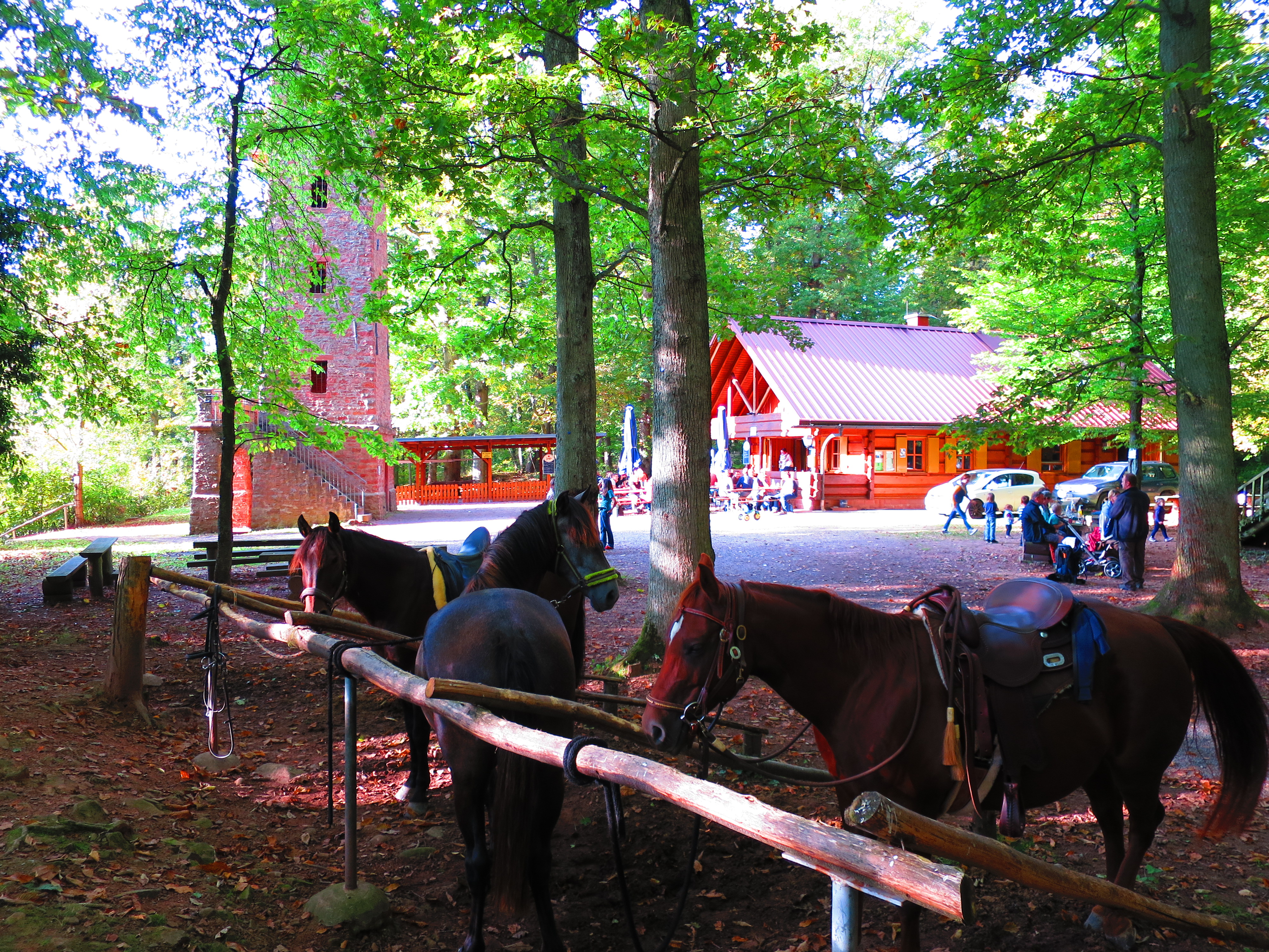 Der Klingenberger Aussichtsturm - Jederzeit ein beliebtes Wanderziel