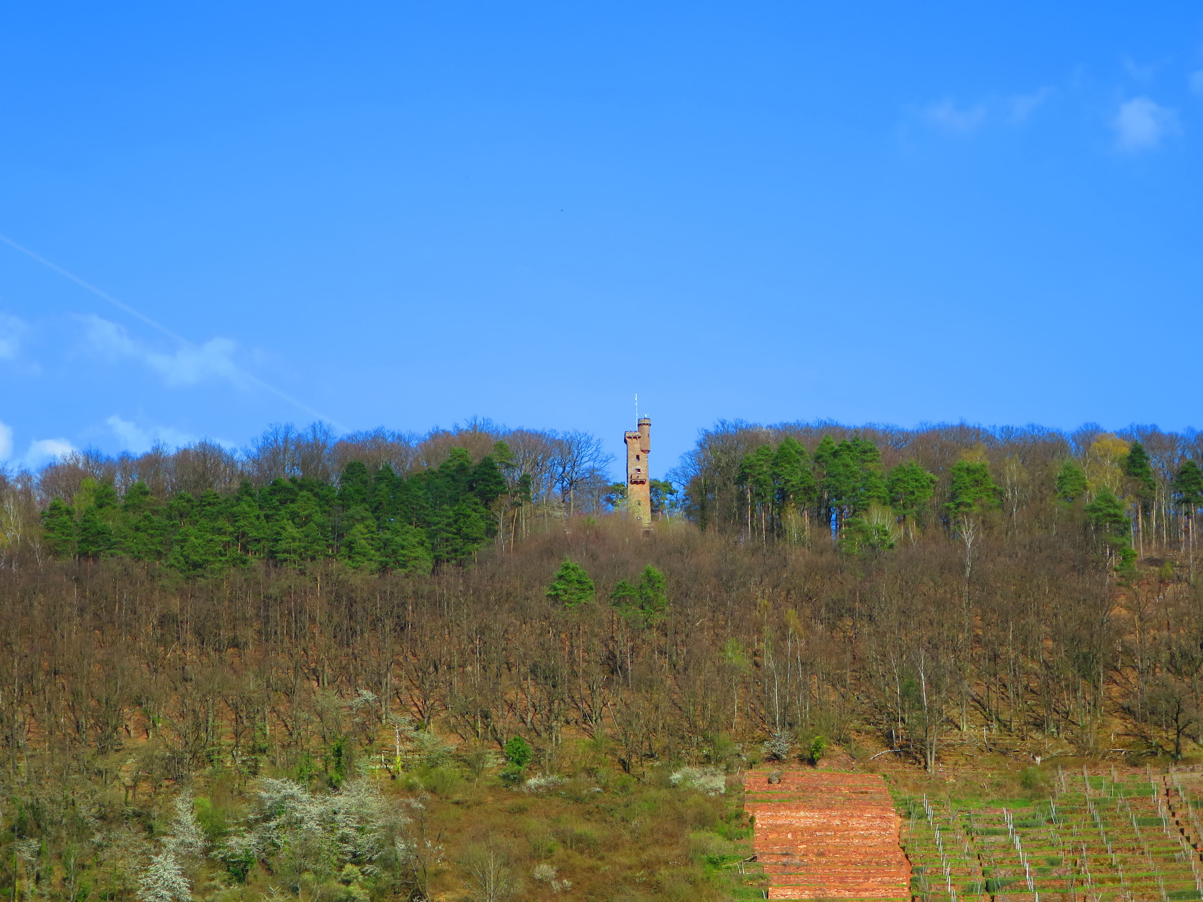 Blick von Trennfurt auf den Aussichtsturm