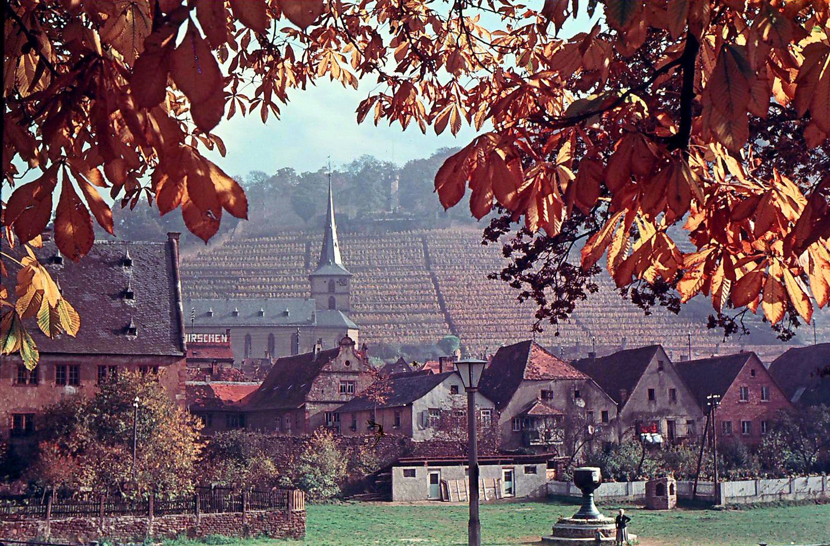 Der Winzerfestplatz in den 1950er Jahren