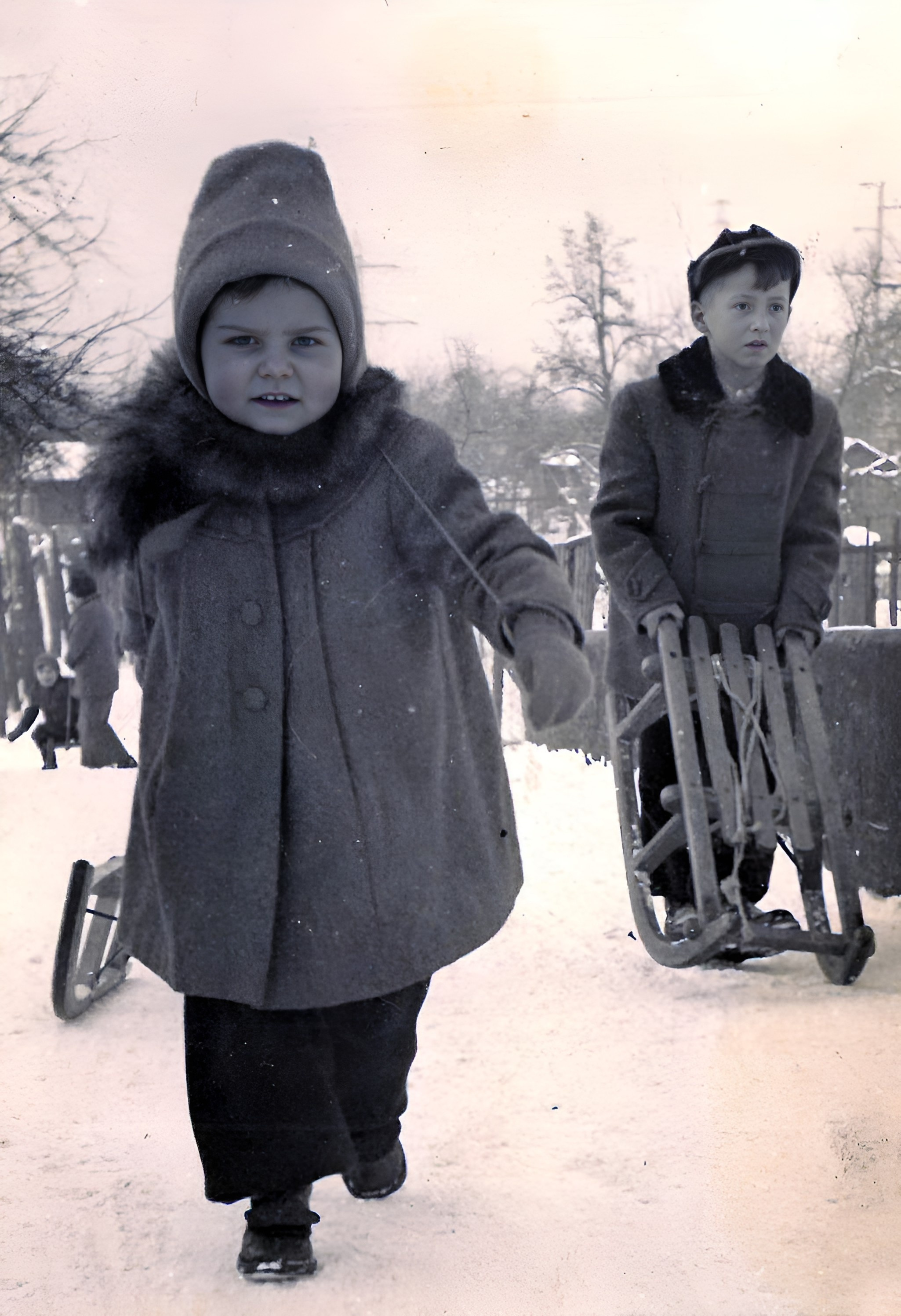 Schlittenfahren auf dem Maindamm 1957