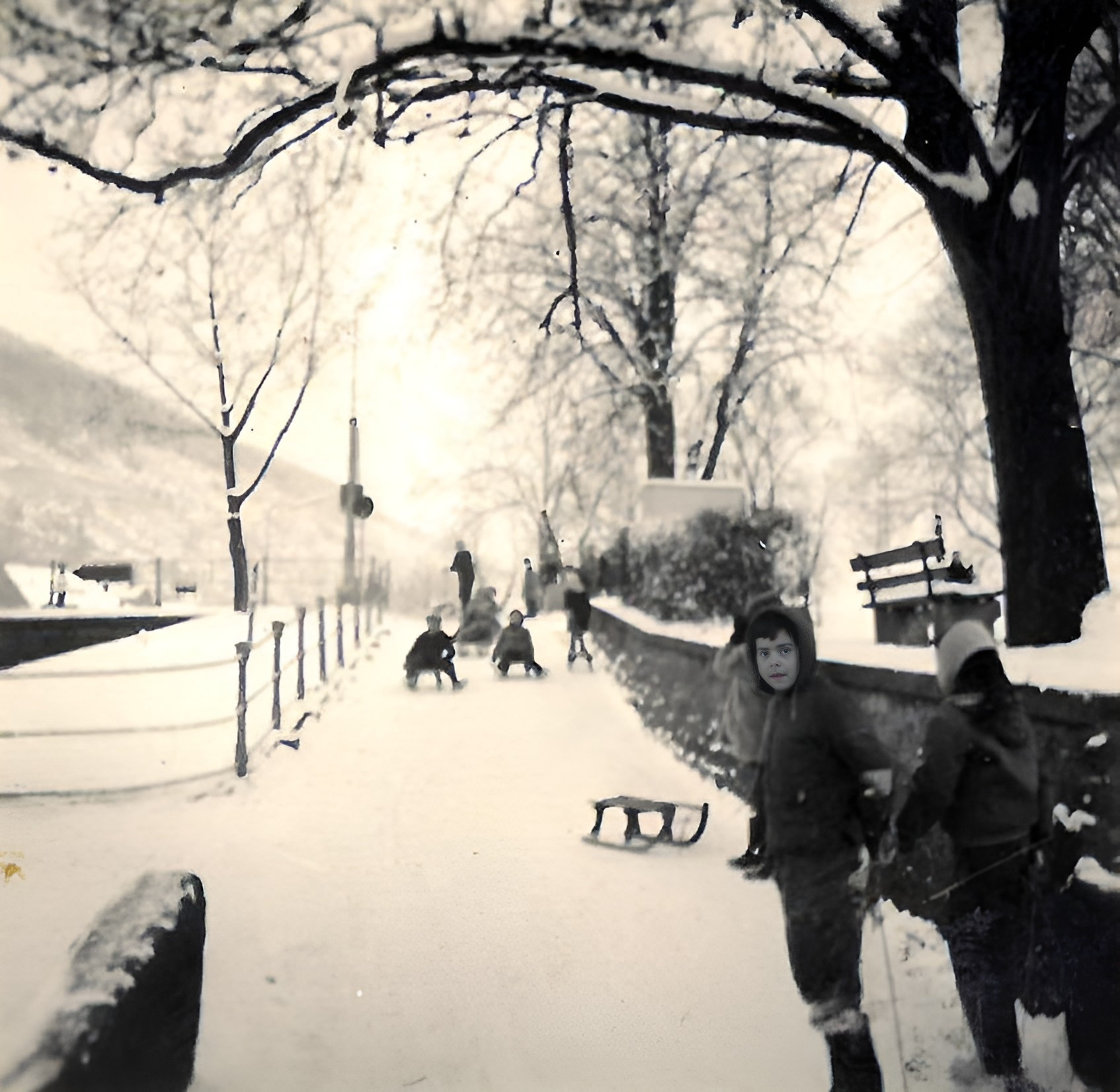 Schlittenfahren auf dem Maindamm 1957