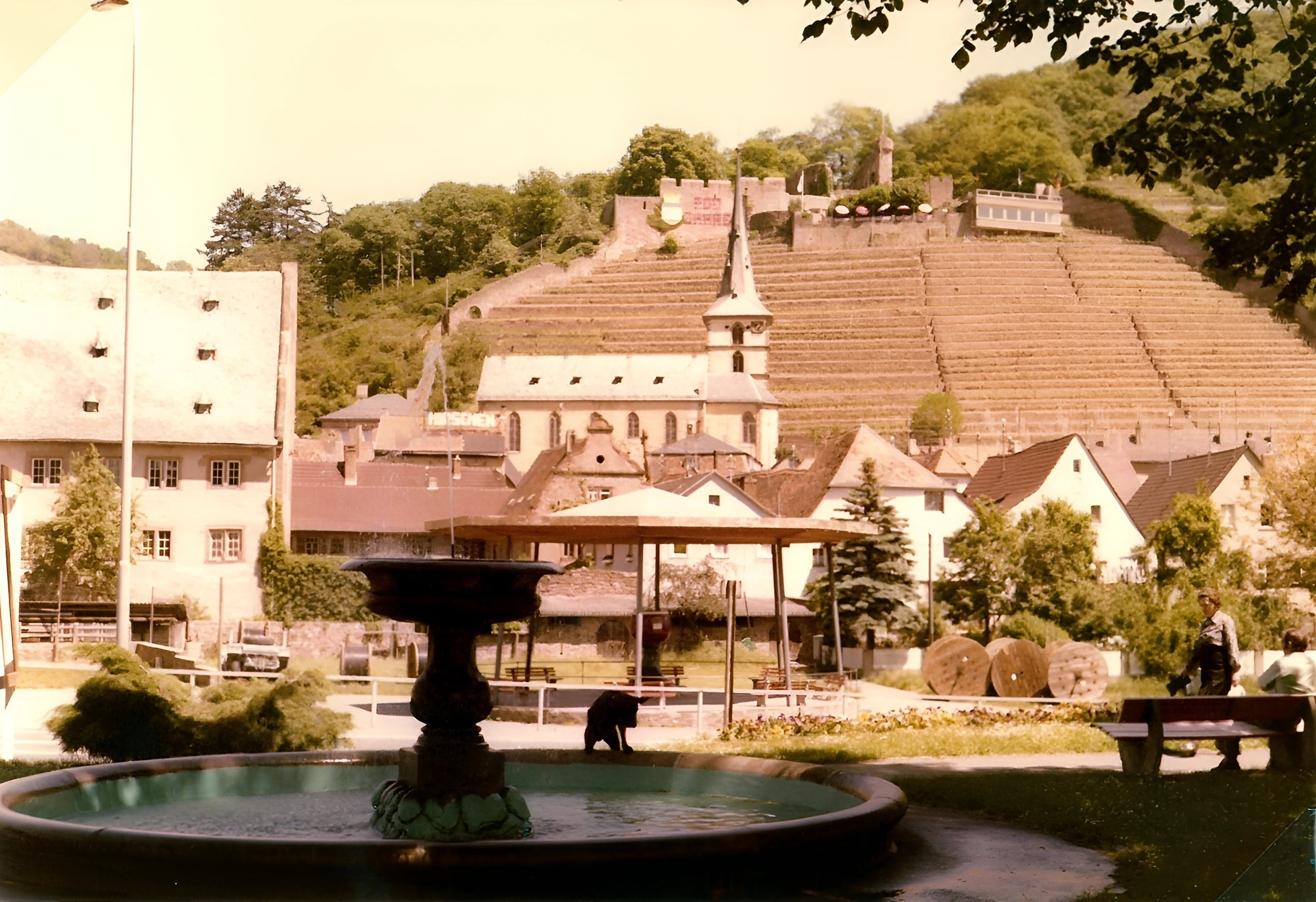 Blick vom Maindamm in Richtung Burg im Jahr 1976