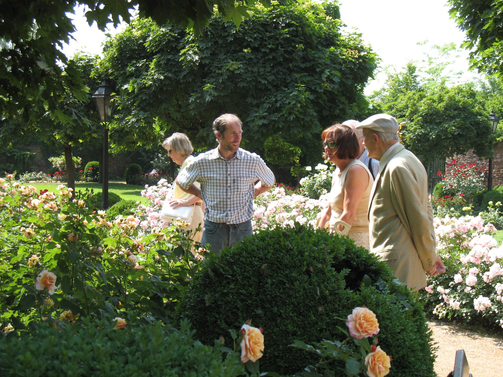 Der Rosengarten am "Tag der offenen Gartentür" 24.06.2006
