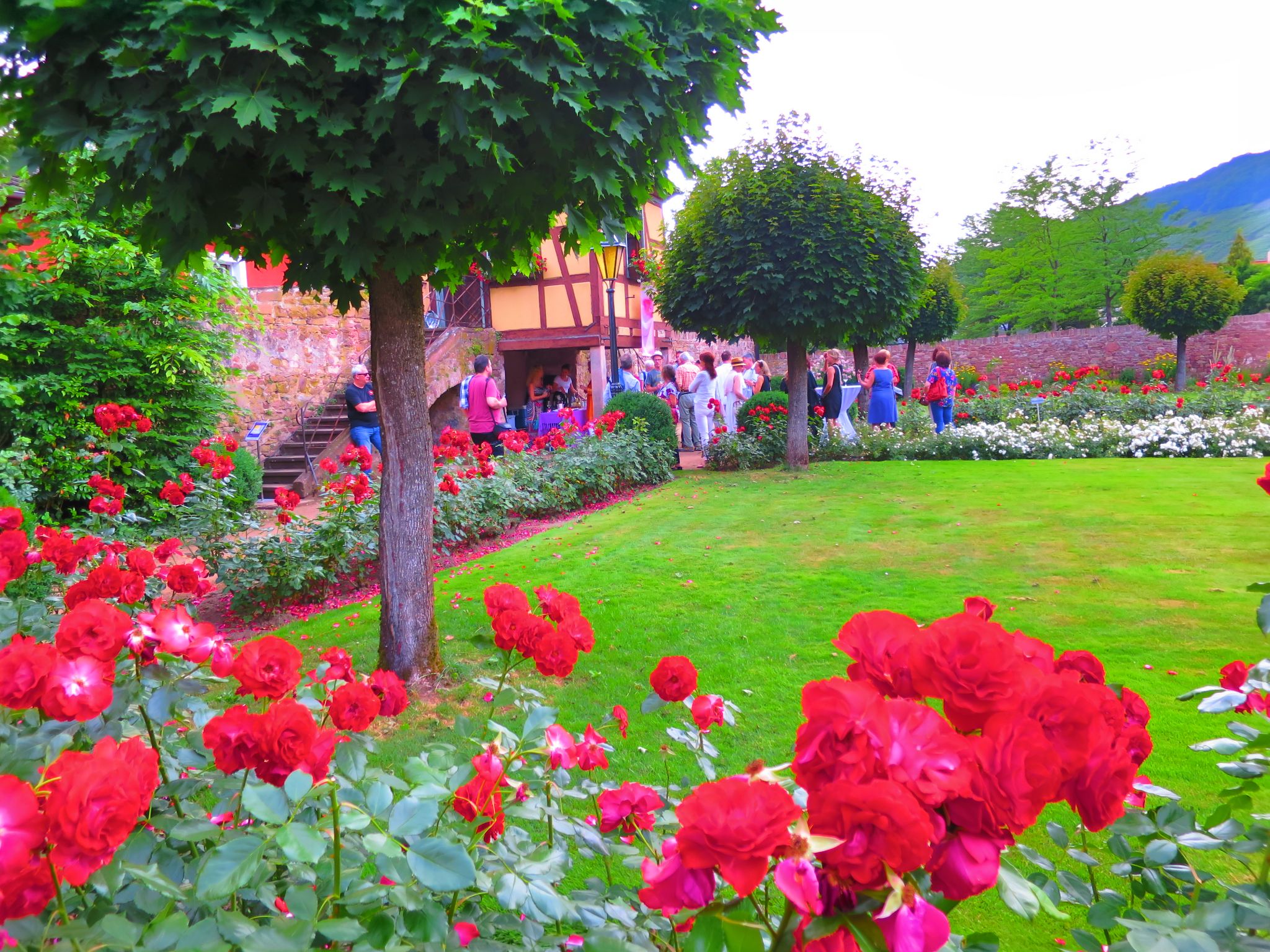 Vernissage am Teehäuschen am 08.06.2018