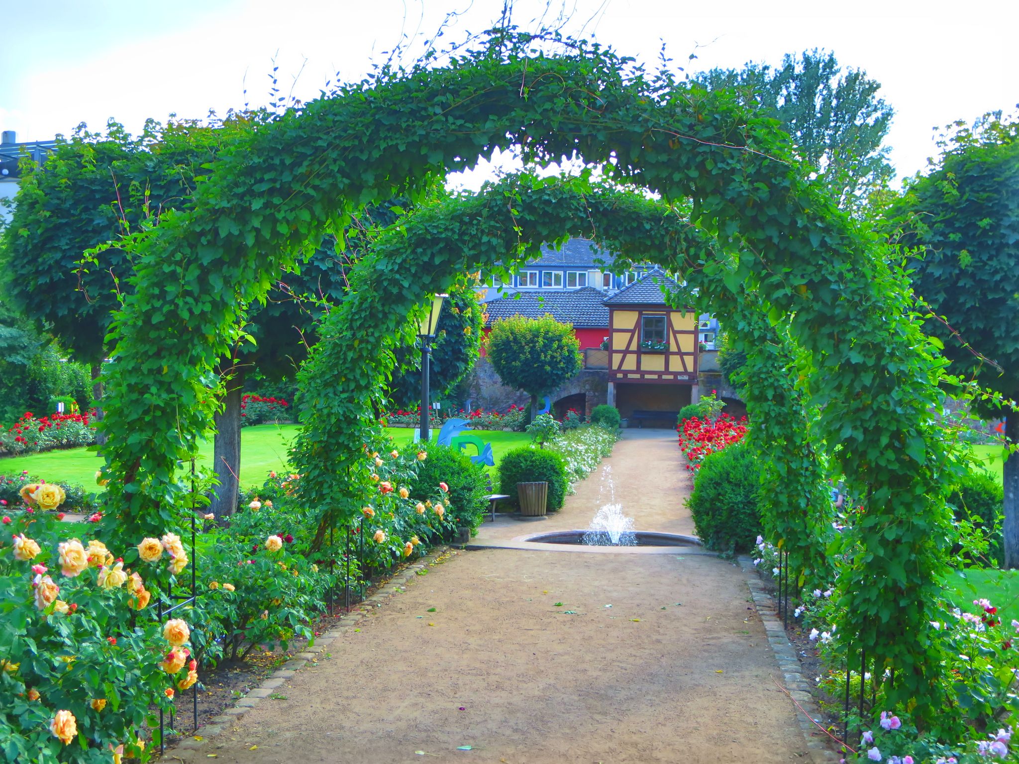 Der Rosengarten am 11.06.2022