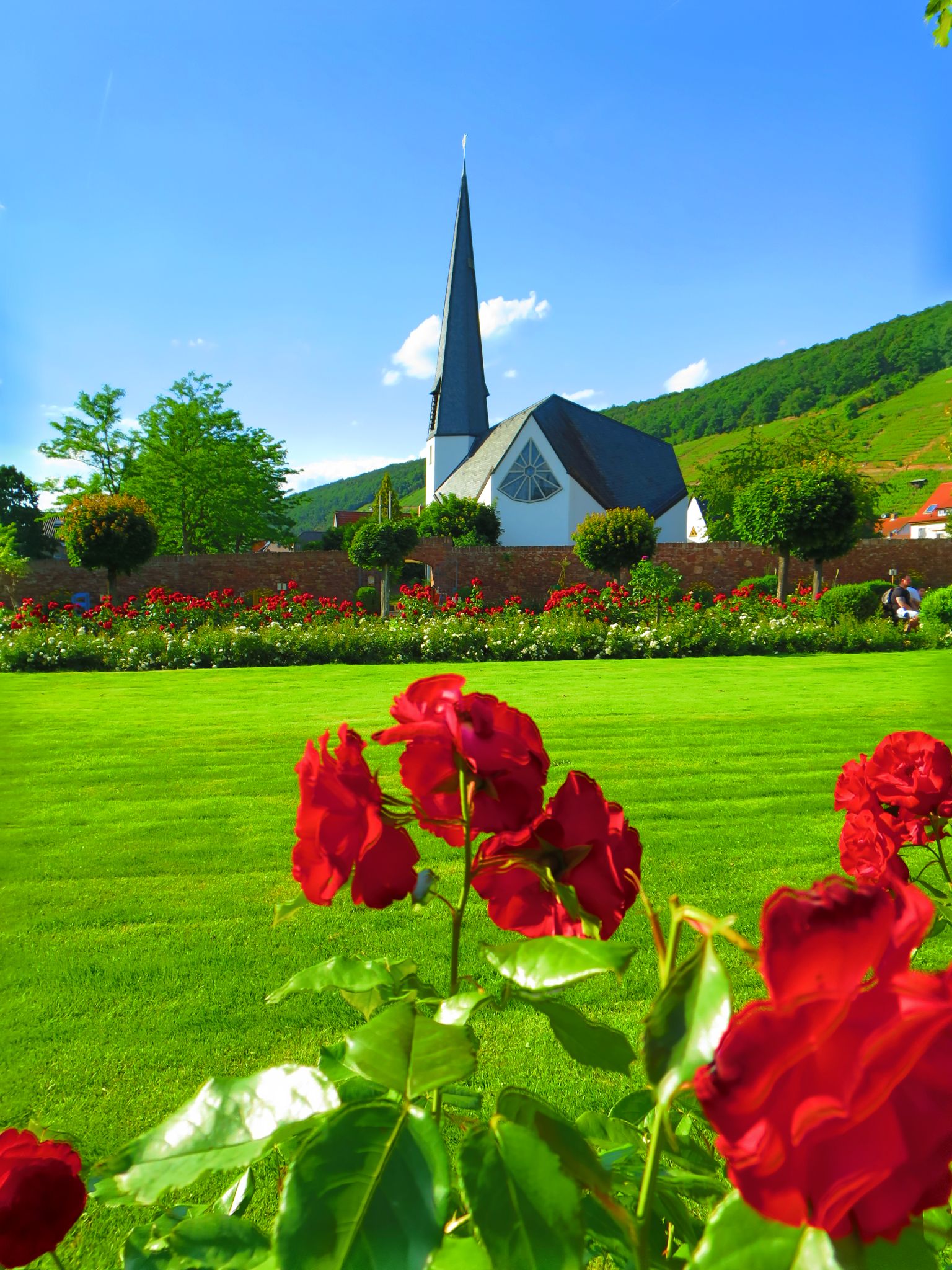 Der Rosengarten am 11.06.2022