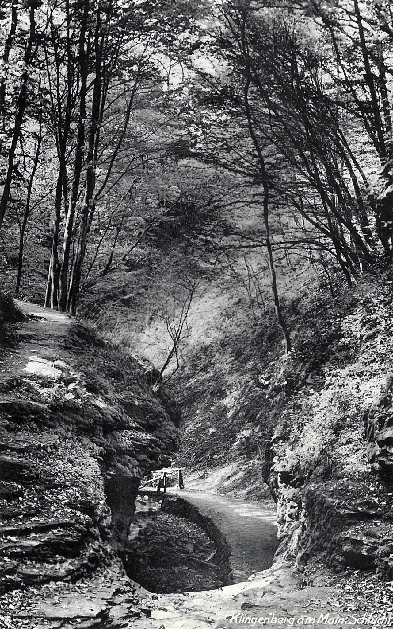 Ansichtskarte der Klingenberger Seltenbachschlucht