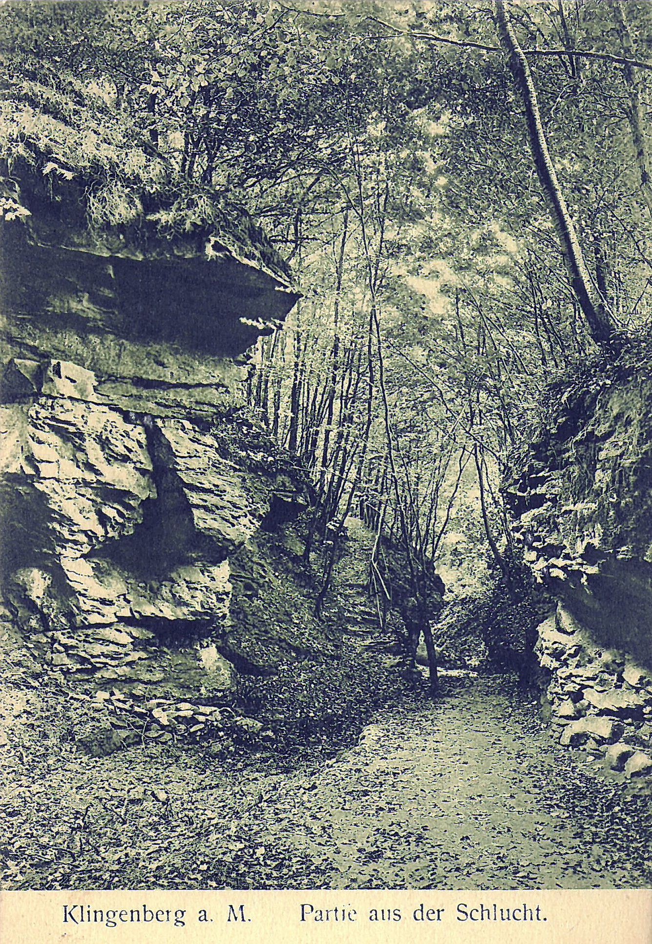 Ansichtskarte der Klingenberger Seltenbachschlucht