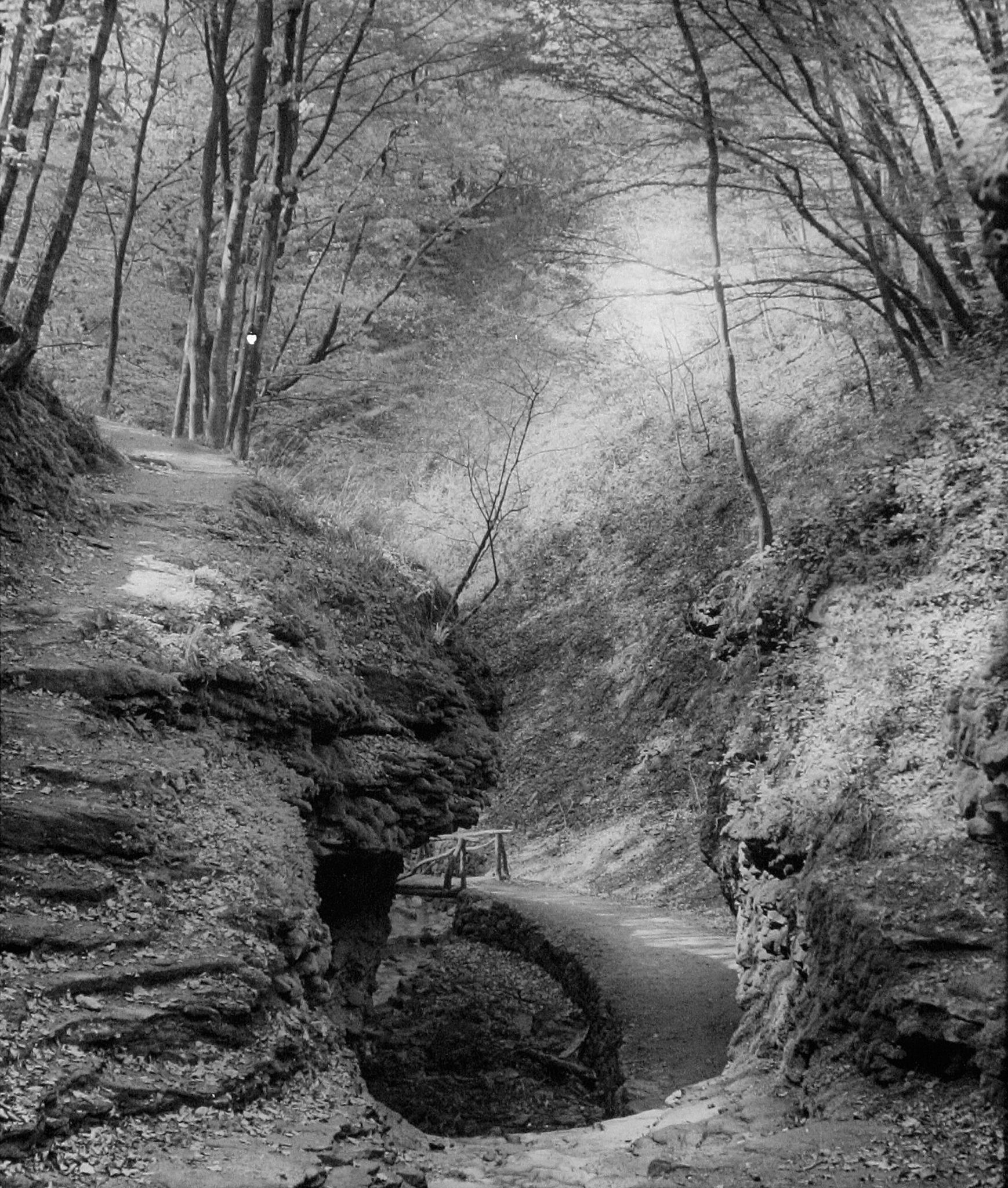 An der Weggabelung zur Clingenburg