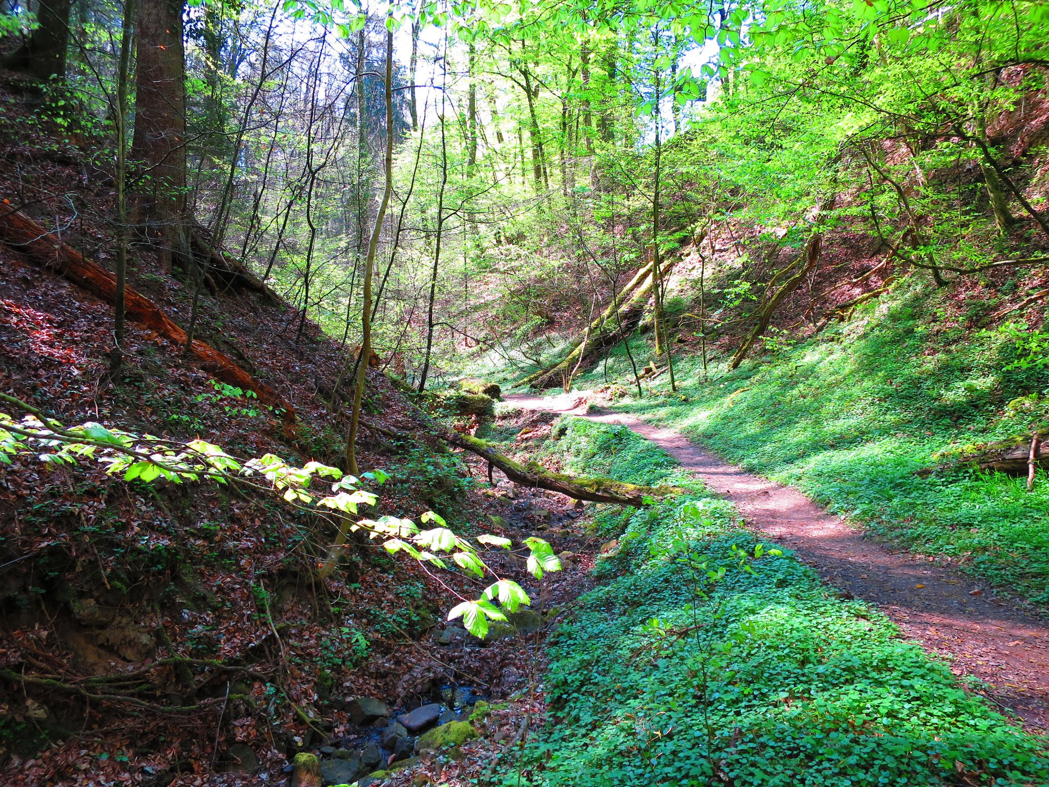 Auf dem Weg durch die Klingenberger Schlucht
