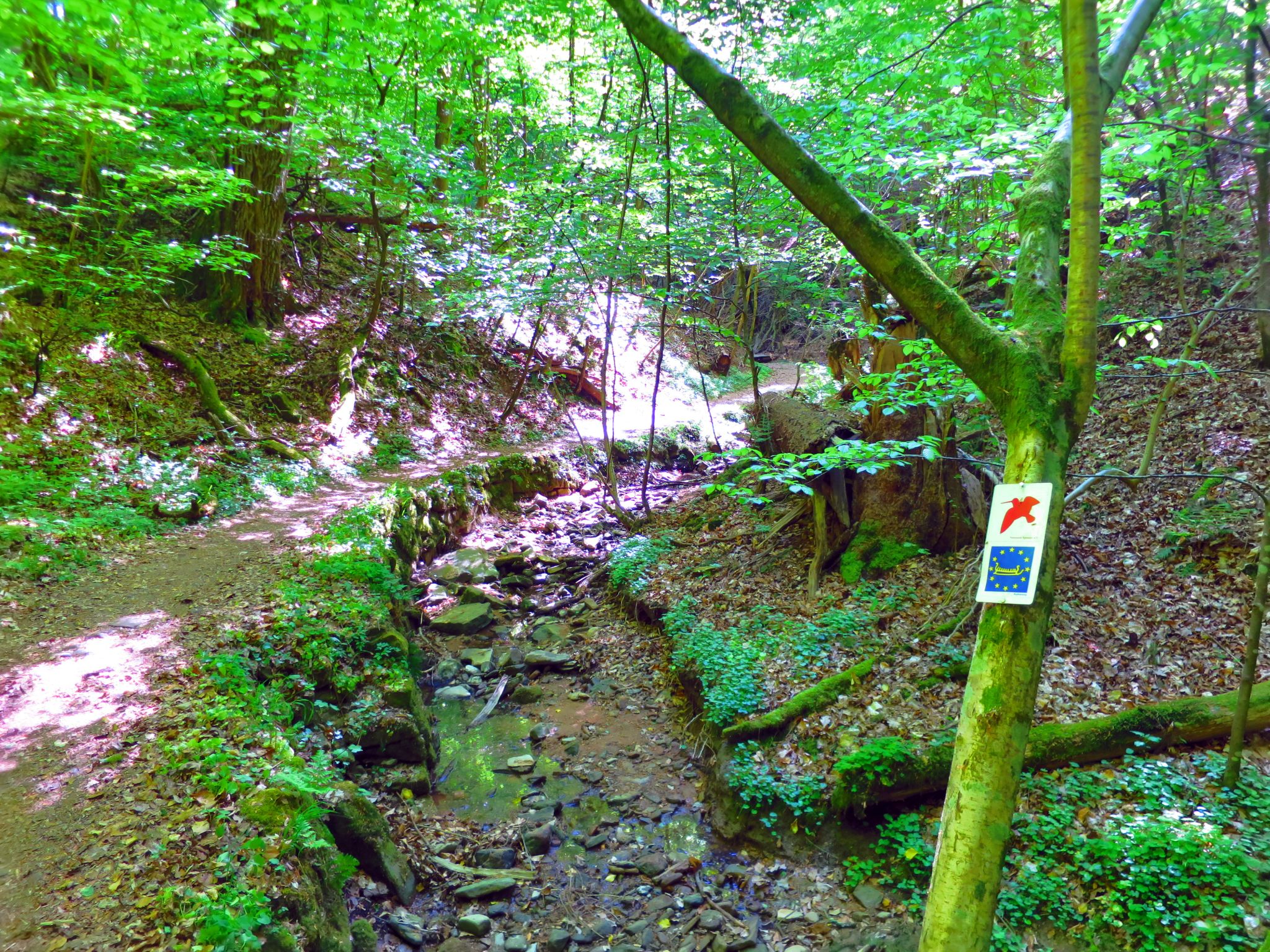 Im hinteren Drittel des Weges durch die Klingenberger Schlucht