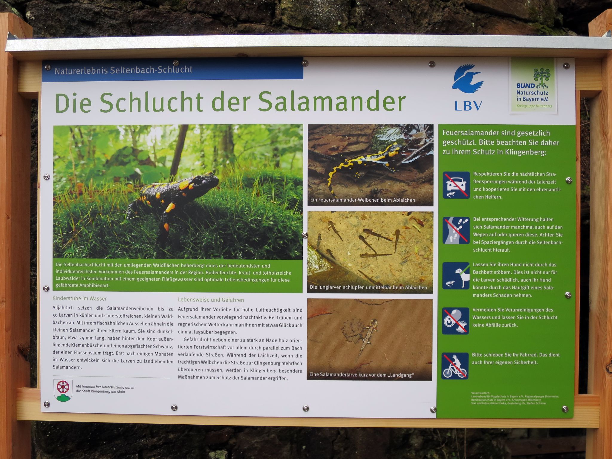 Hinweitafel "Schlucht der Salamander"