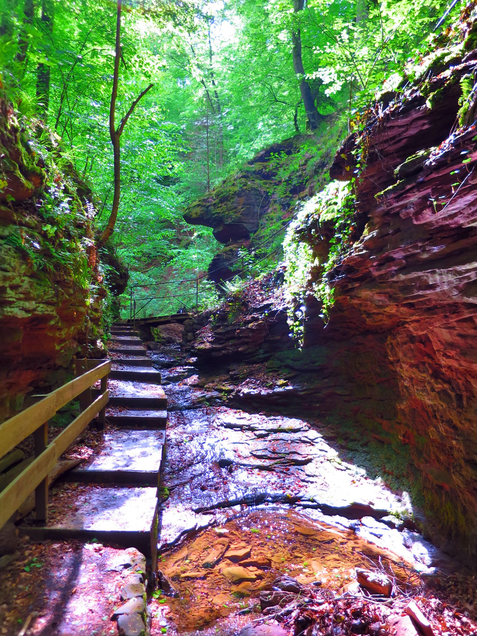 Frühlingserwachen in der Klingenberger Schlucht