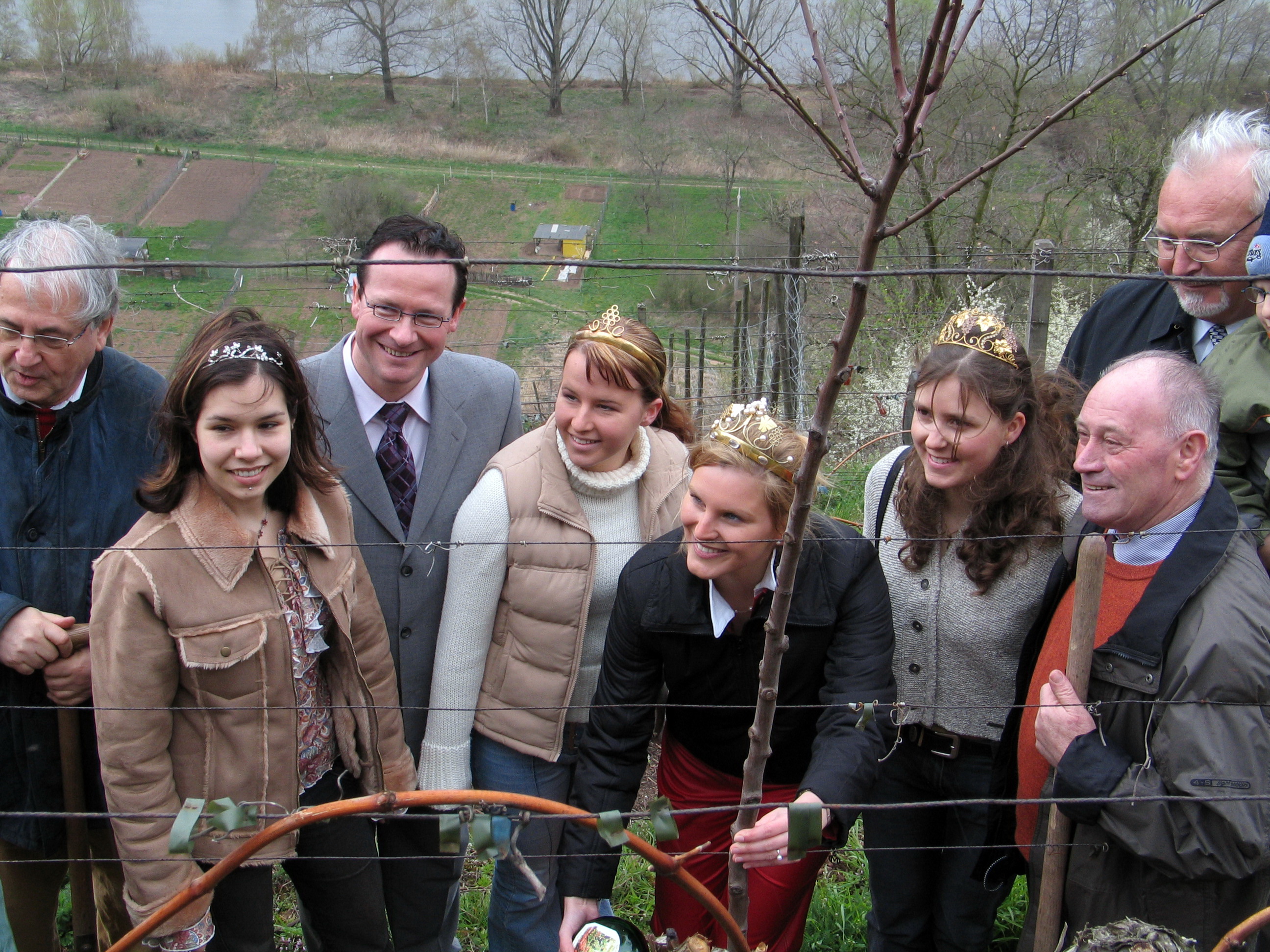 Mandelbaumpflanzung am 04.04.2004 durch den Weinbauverein Klingenberg