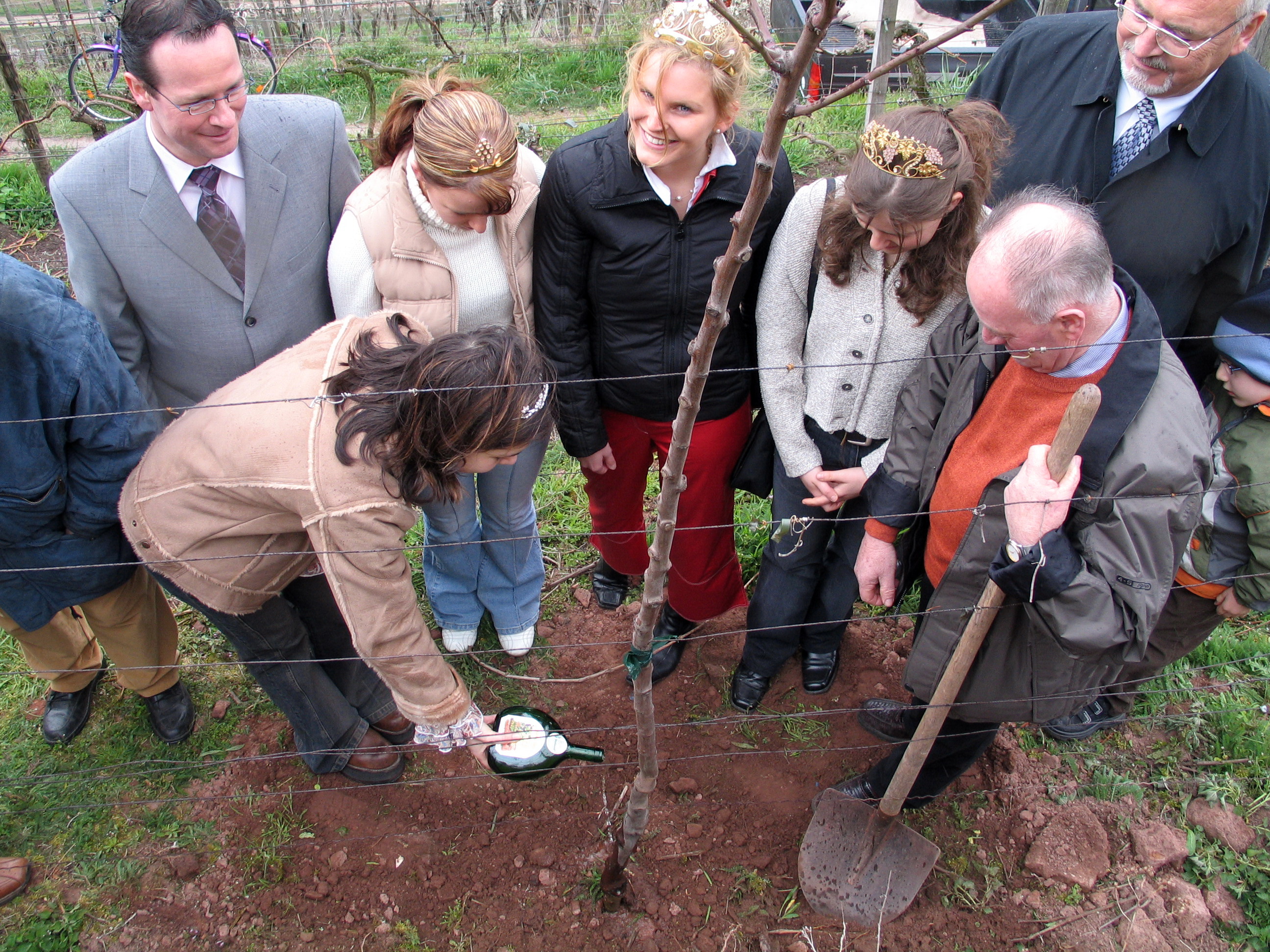 Mandelbaumpflanzung am 04.04.2004 durch den Weinbauverein Klingenberg