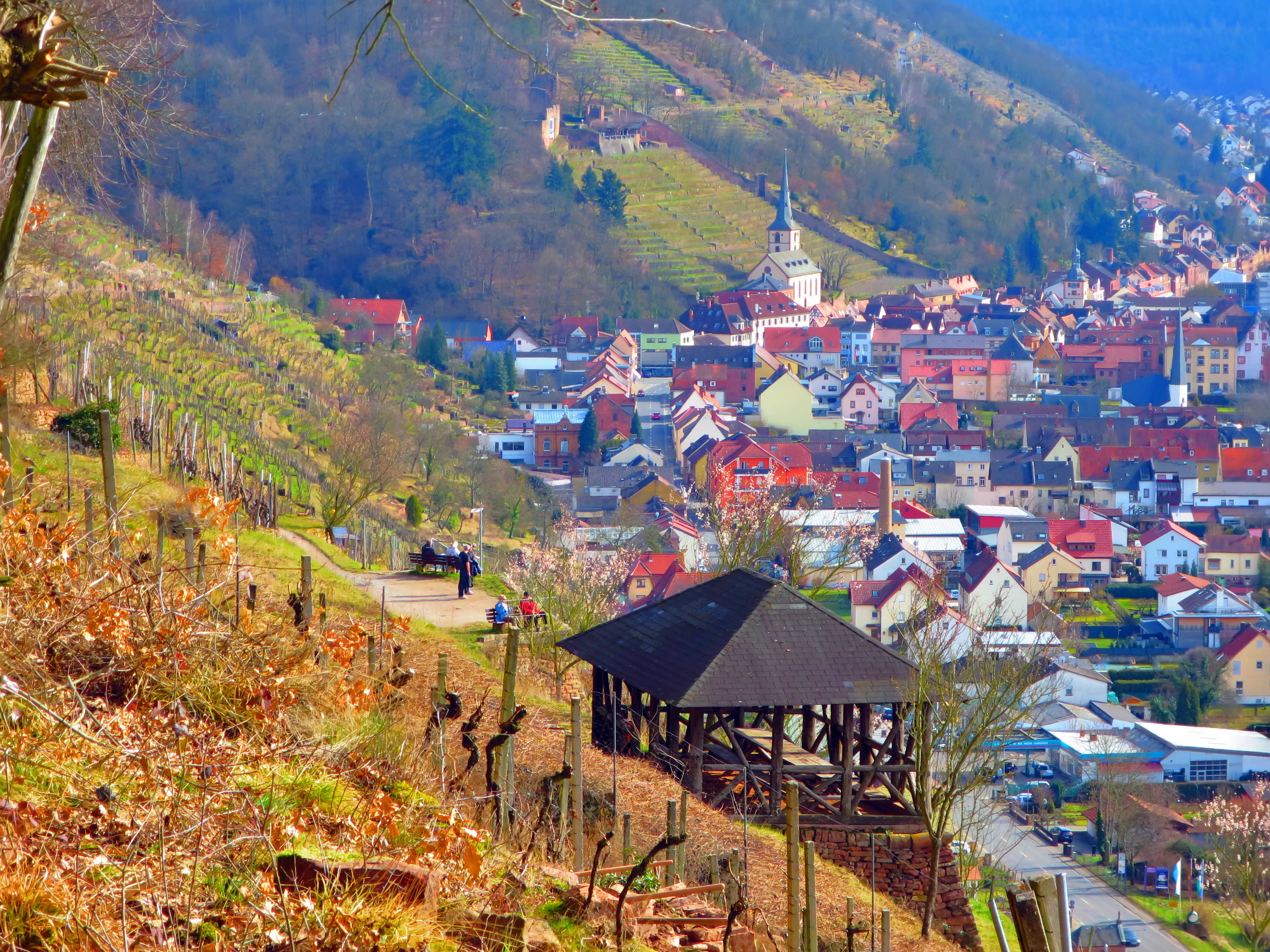 Der alte Weinbergspavillon wenige Tage vor seinem Abriss